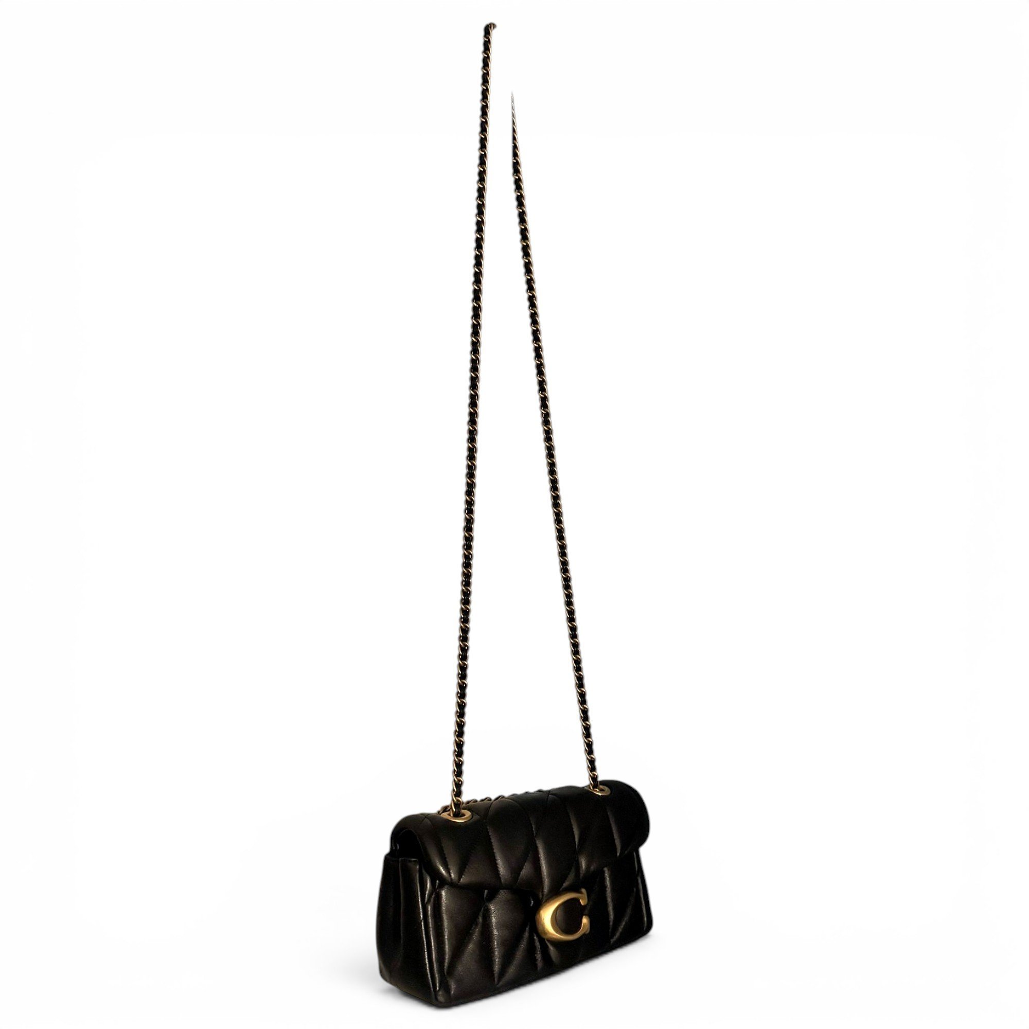 Coach Pillow Tabby leather handbag