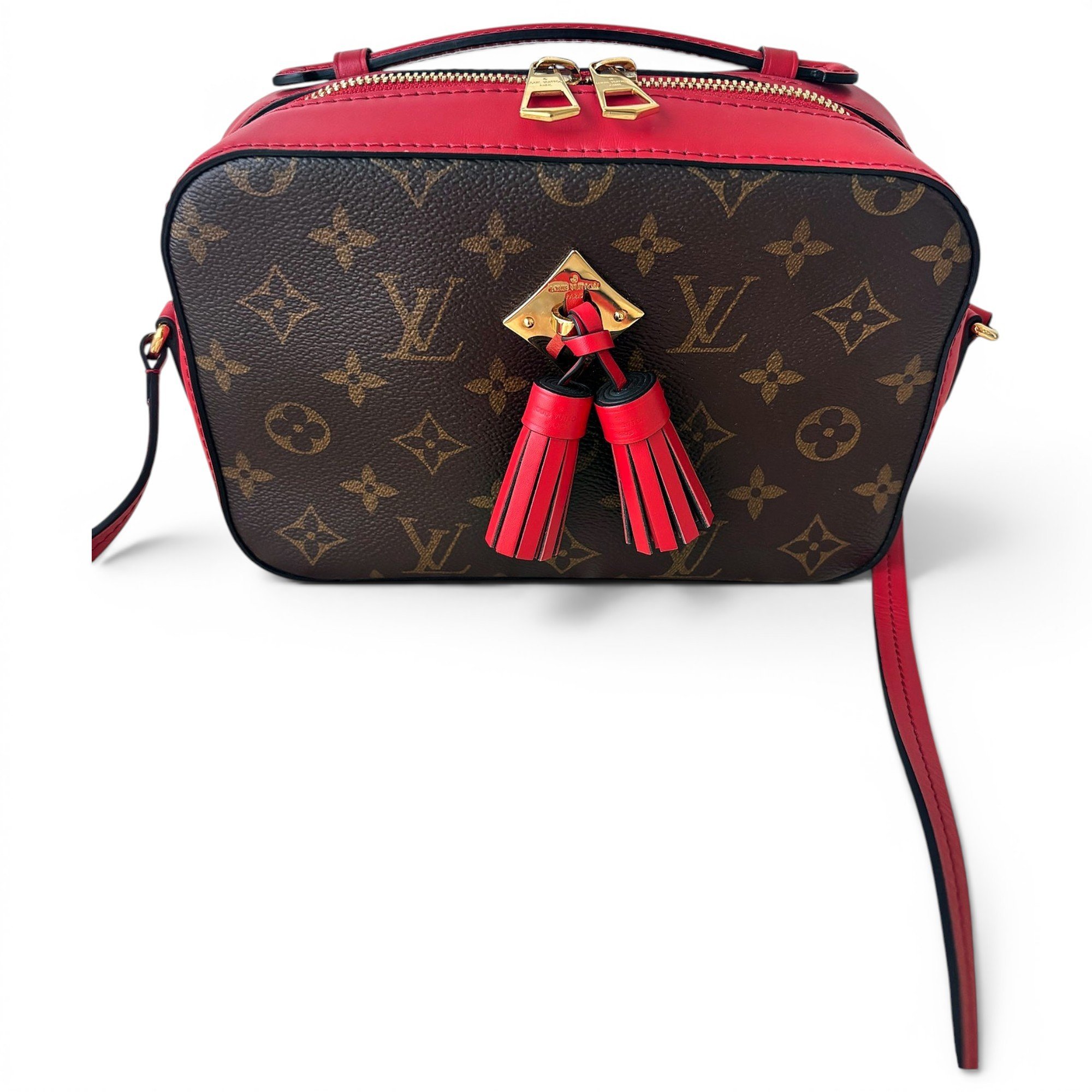 Saintonge leather crossbody bag