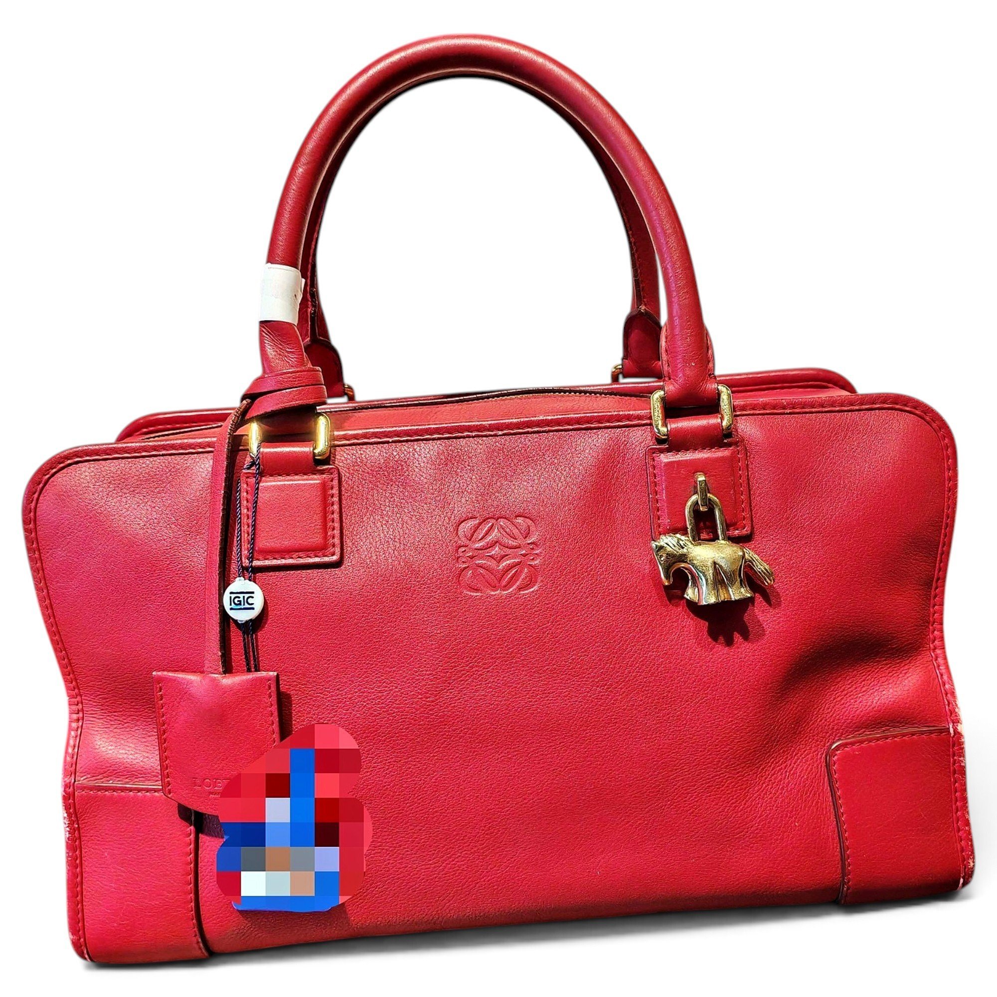 Amazona leather handbag