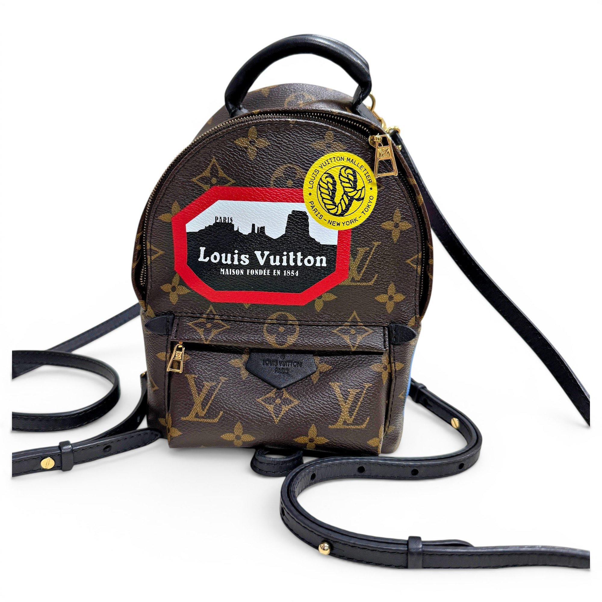 Palm Springs leather backpack