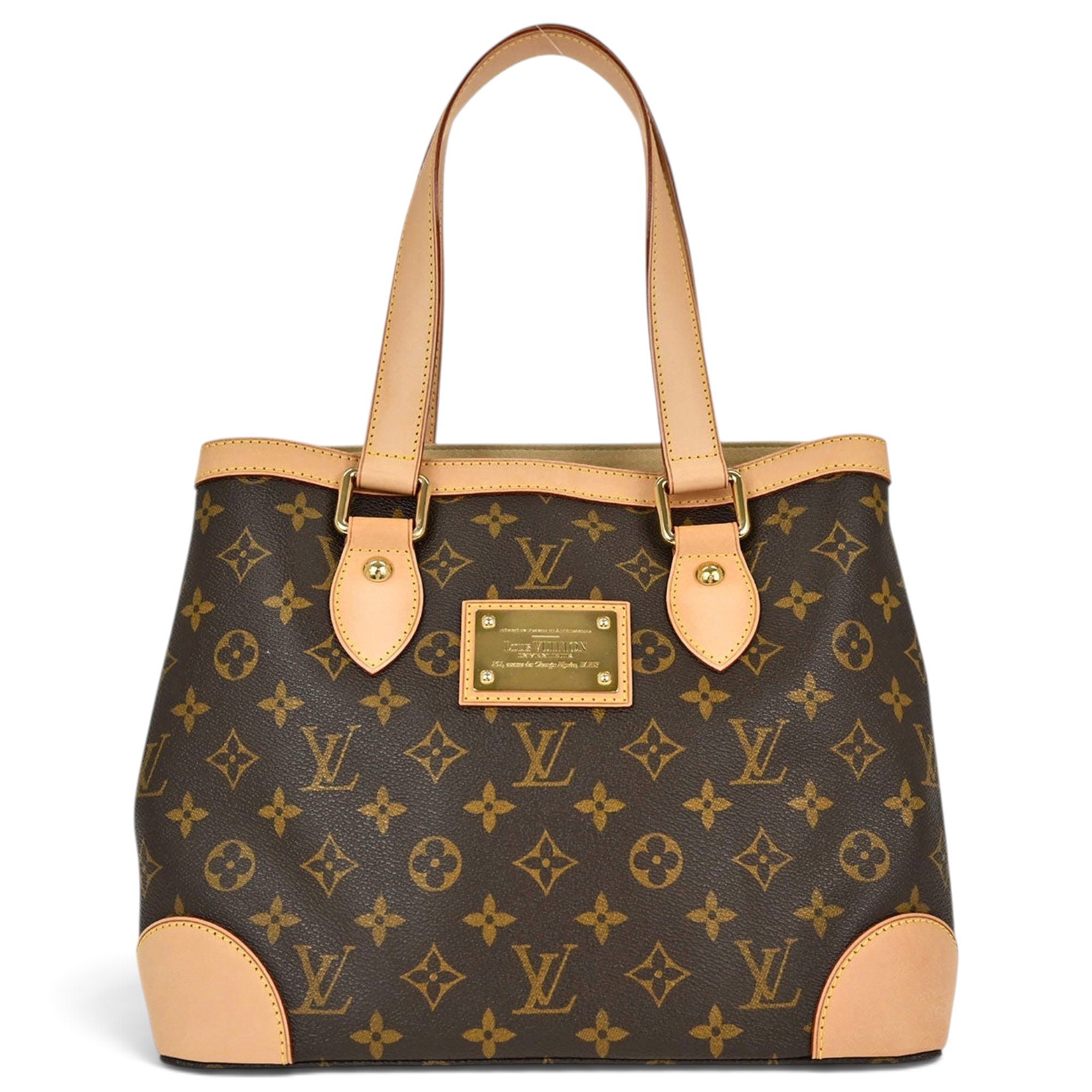 Louis Vuitton Leather tote