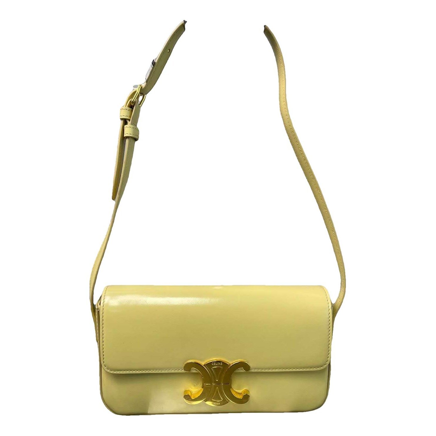 Triomphe Long leather handbag