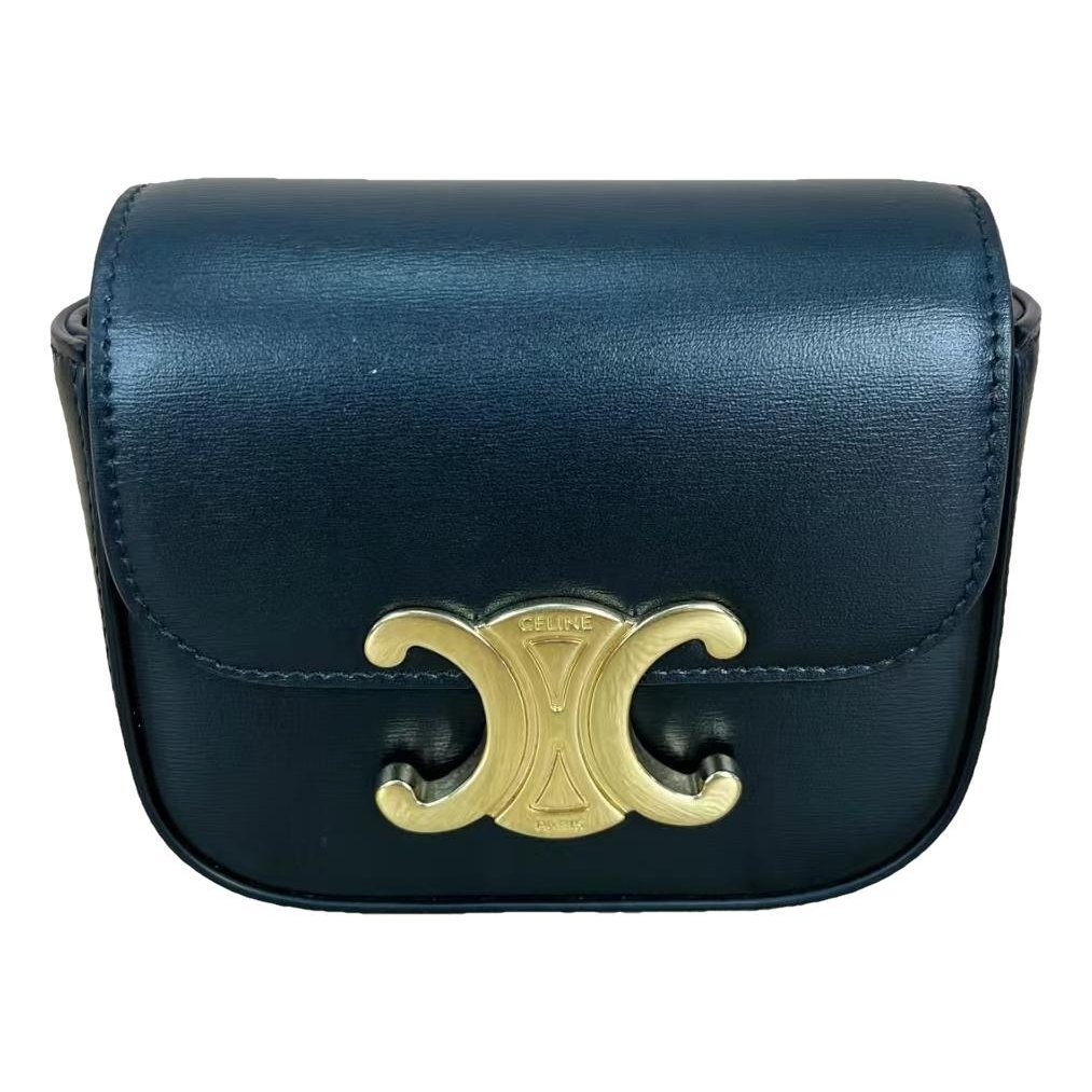 Triomphe leather handbag