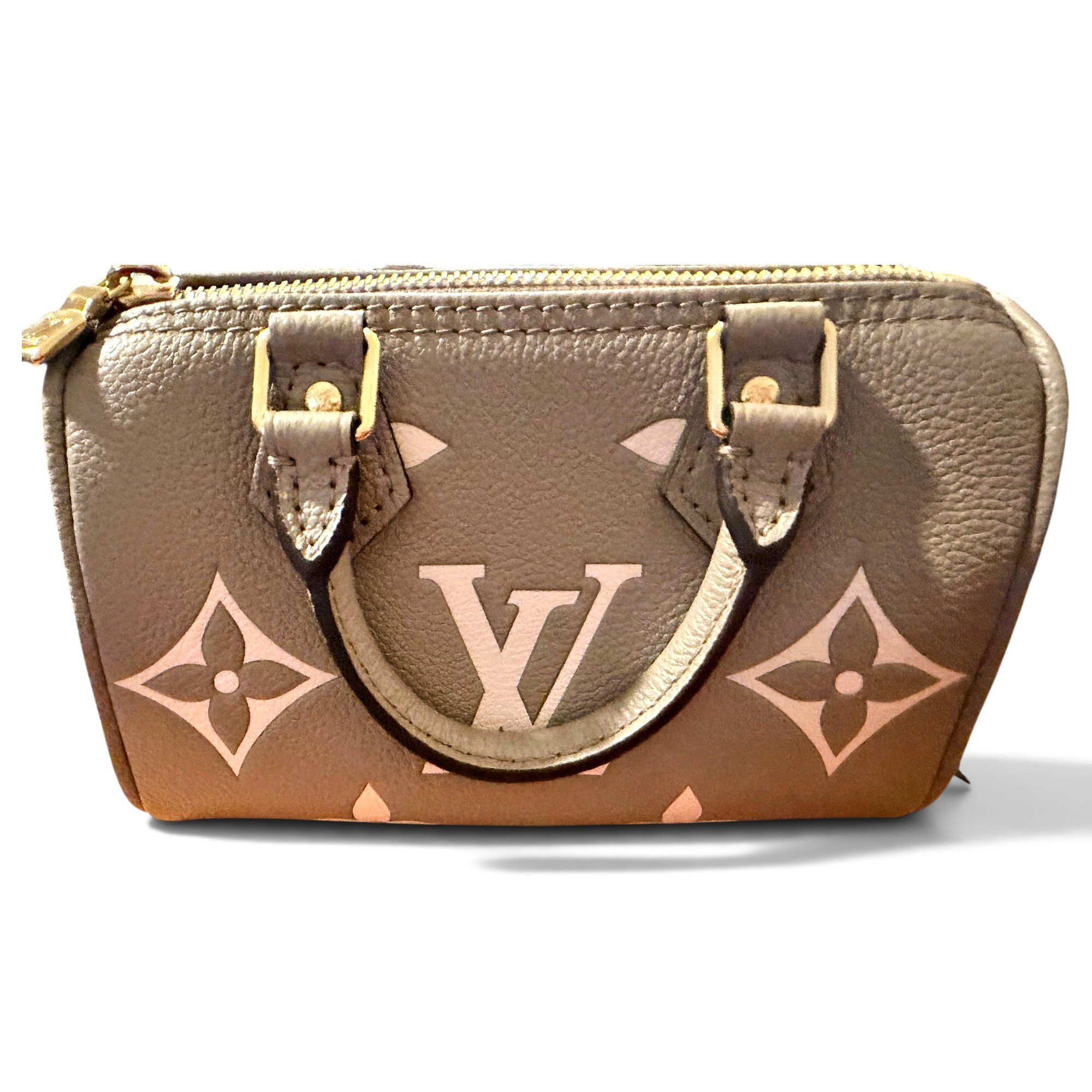 Louis Vuitton Nano Speedy / Mini HL leather mini bag