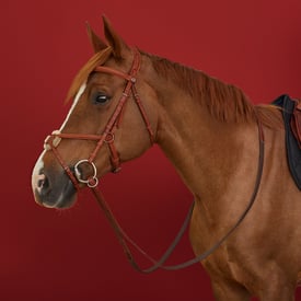 Ergonomic Figure 8 Jumper bridle