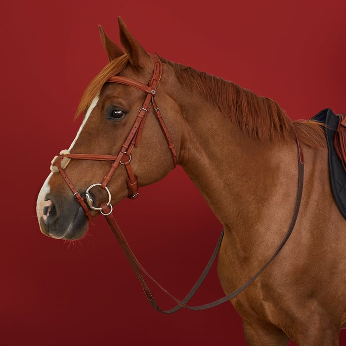 Irish Ergonomic Figure 8 Jumper Bridle