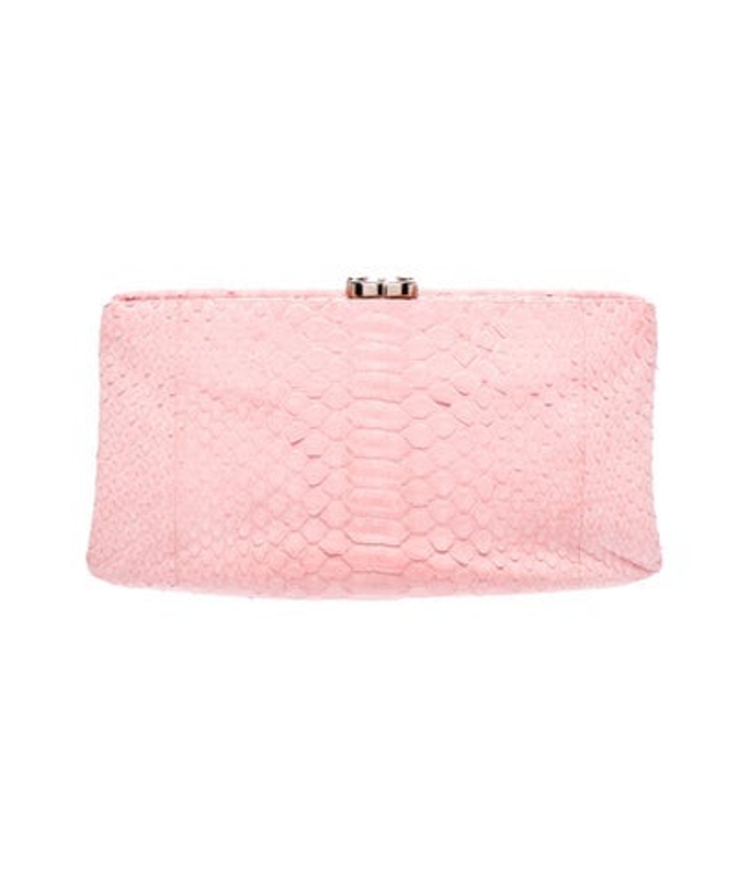 Chanel Python Clutch