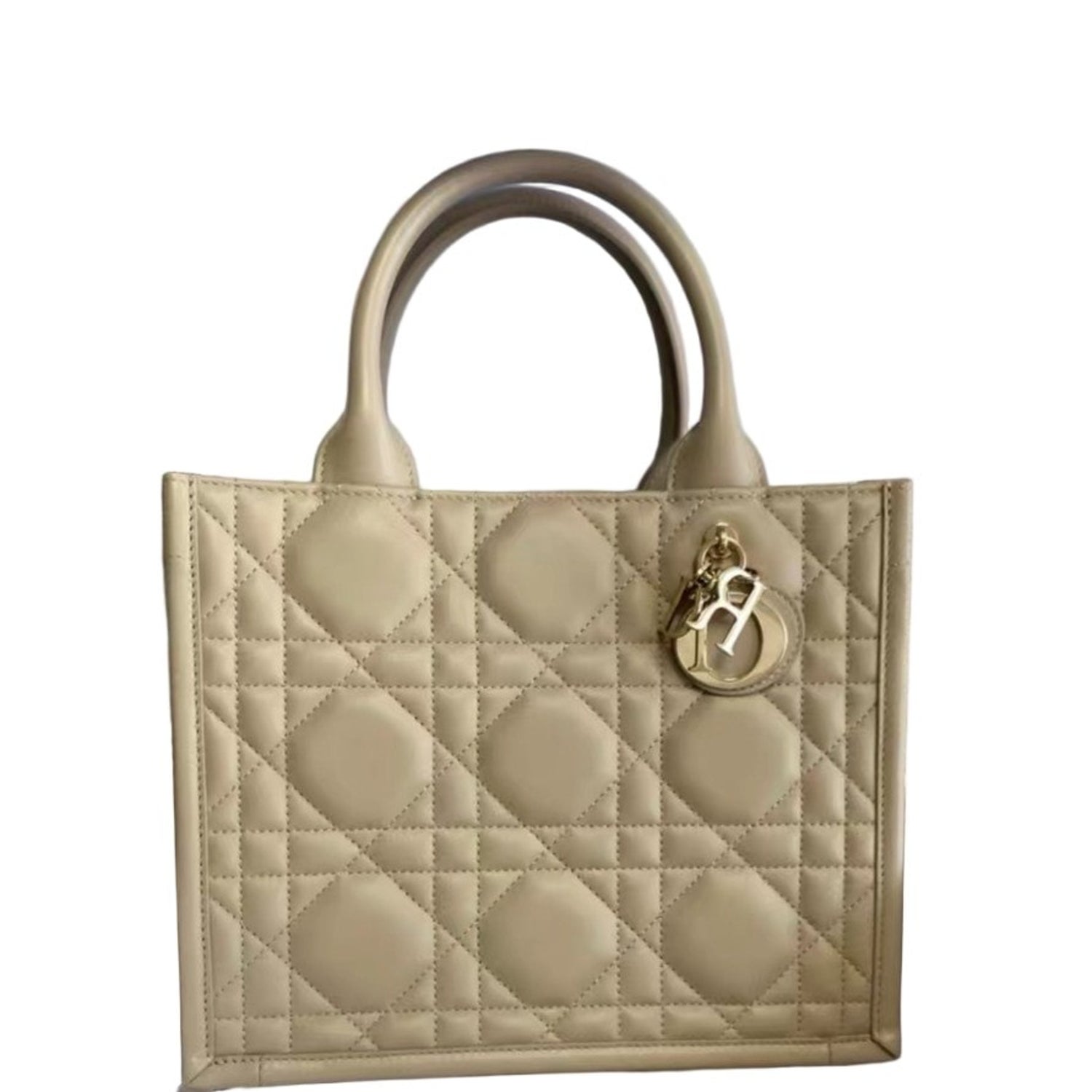 Dior Calfskin My Dior Top Handle Flap Bag Small 2024