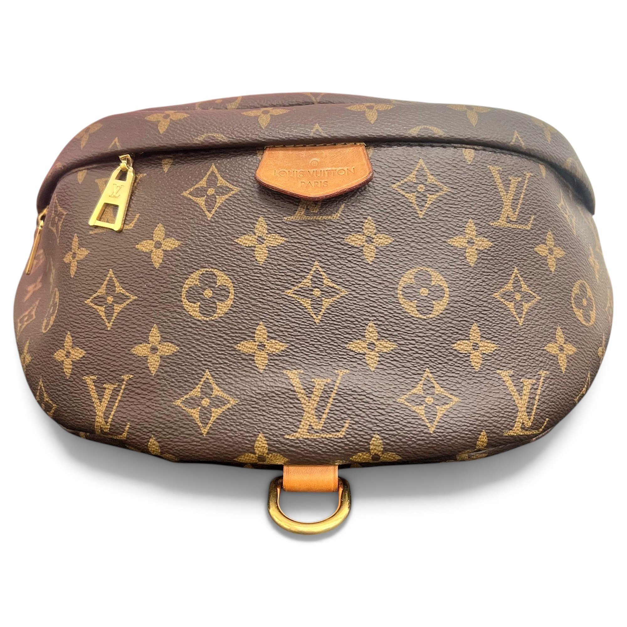 Bum Bag / Sac Ceinture leather handbag