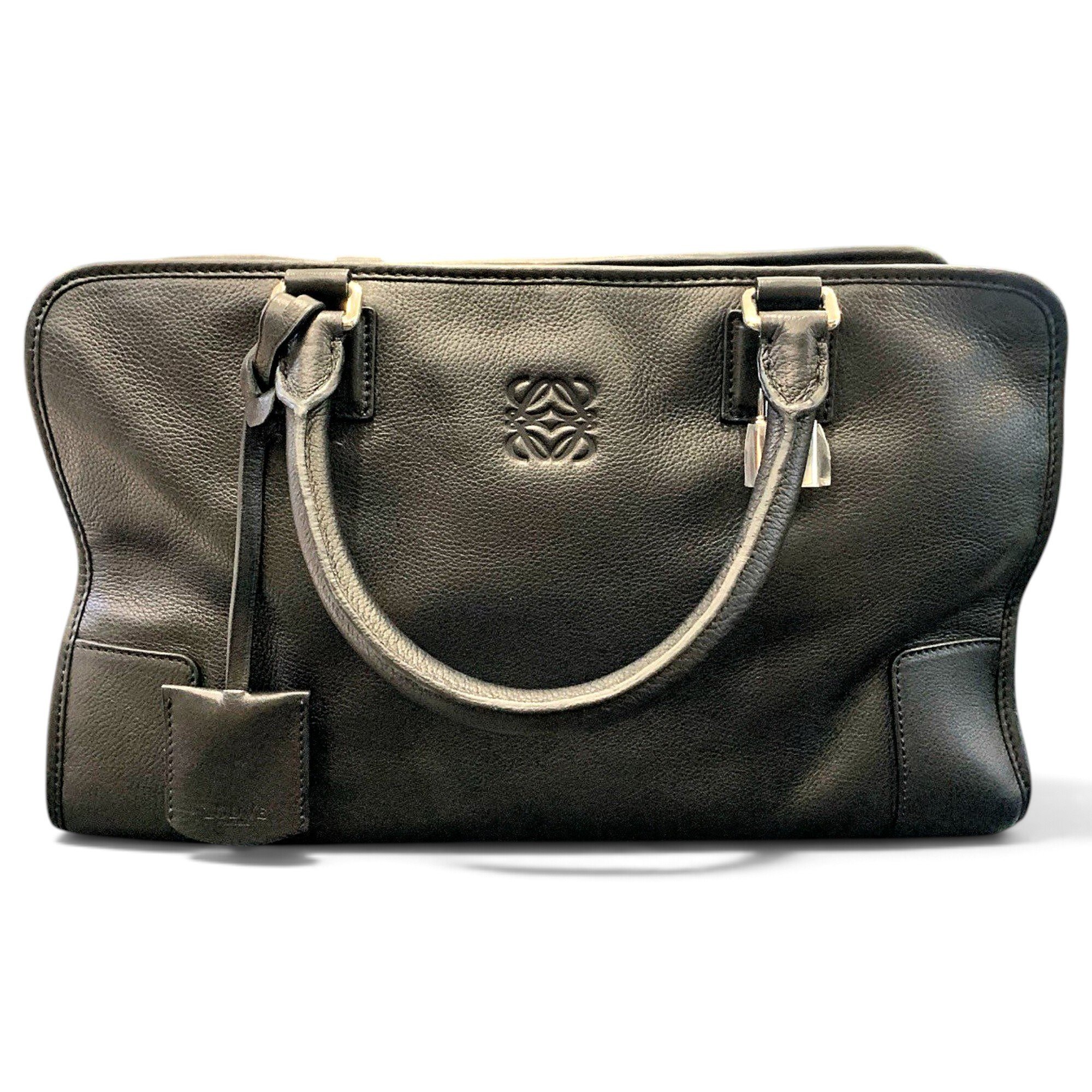 Amazona leather handbag