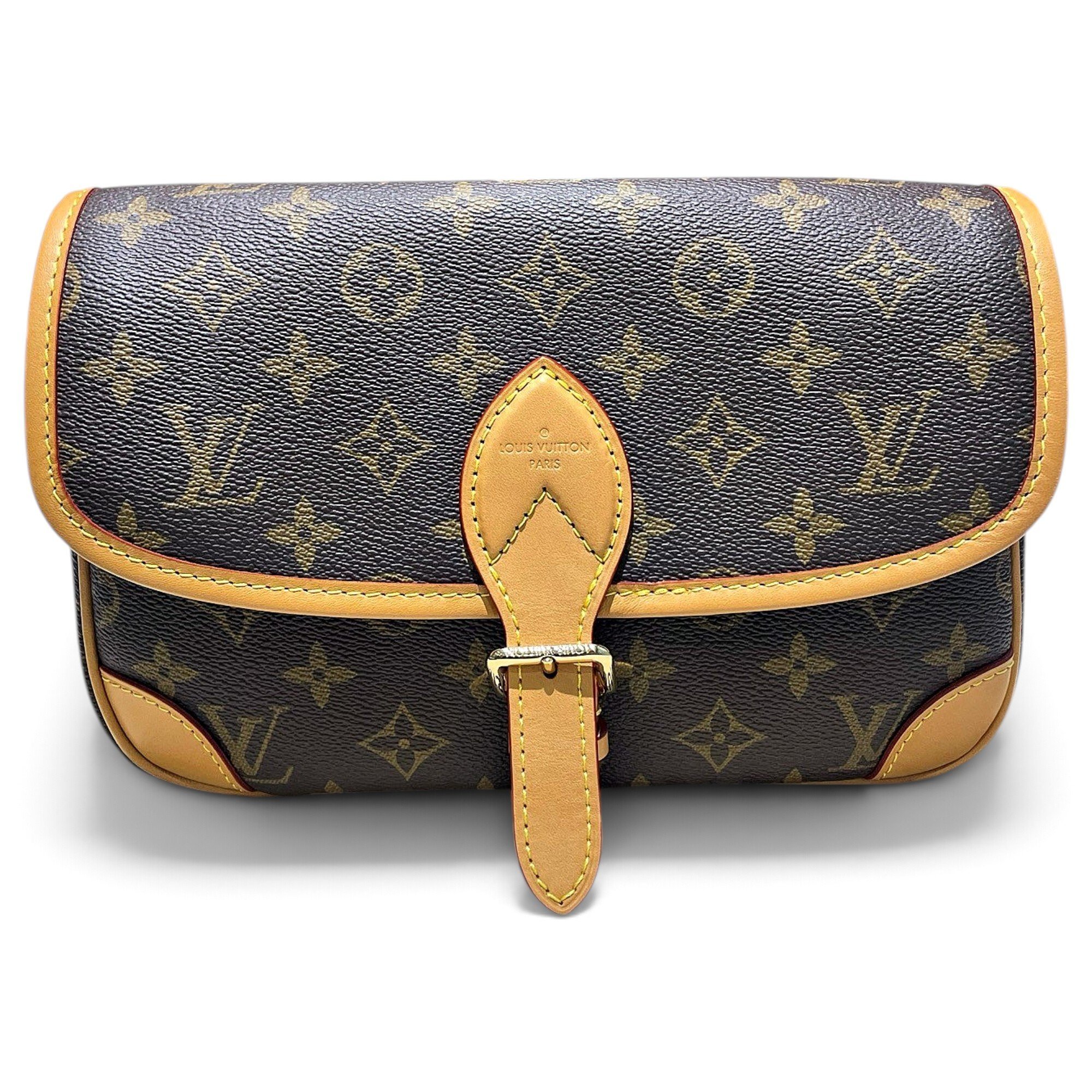 Saint Cloud leather handbag