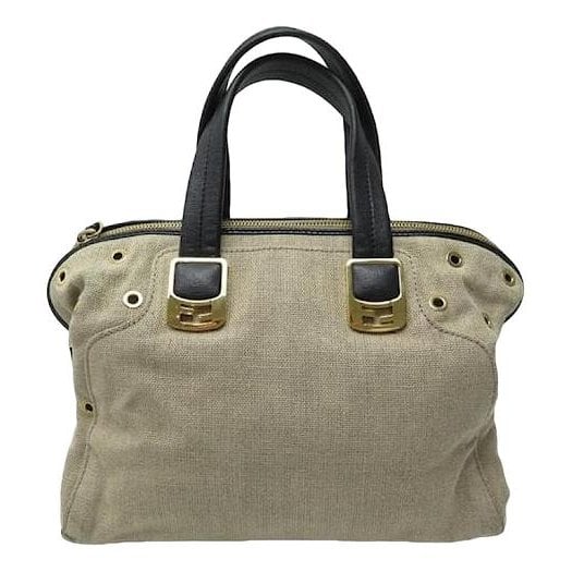Chameleon cloth handbag