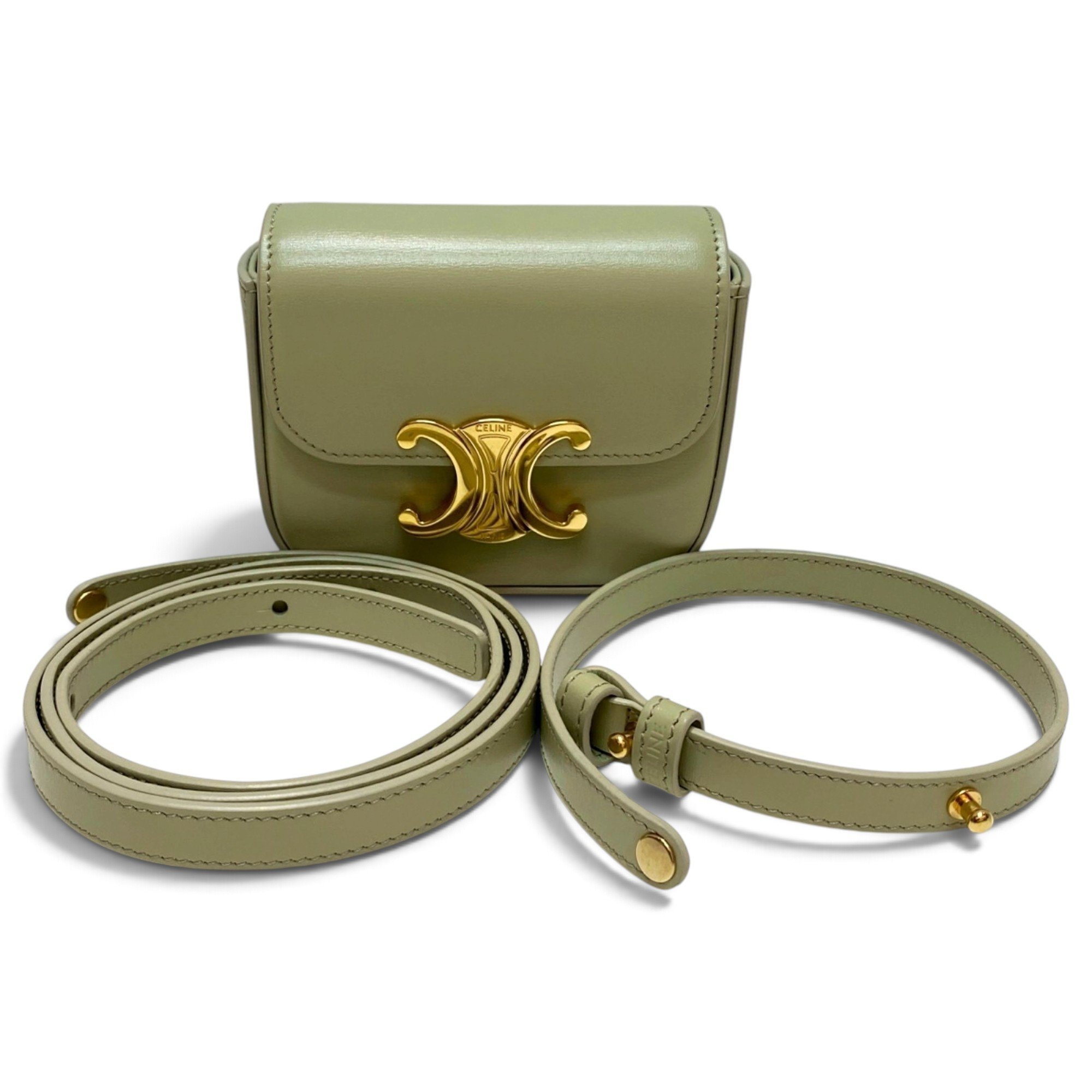 Triomphe leather handbag