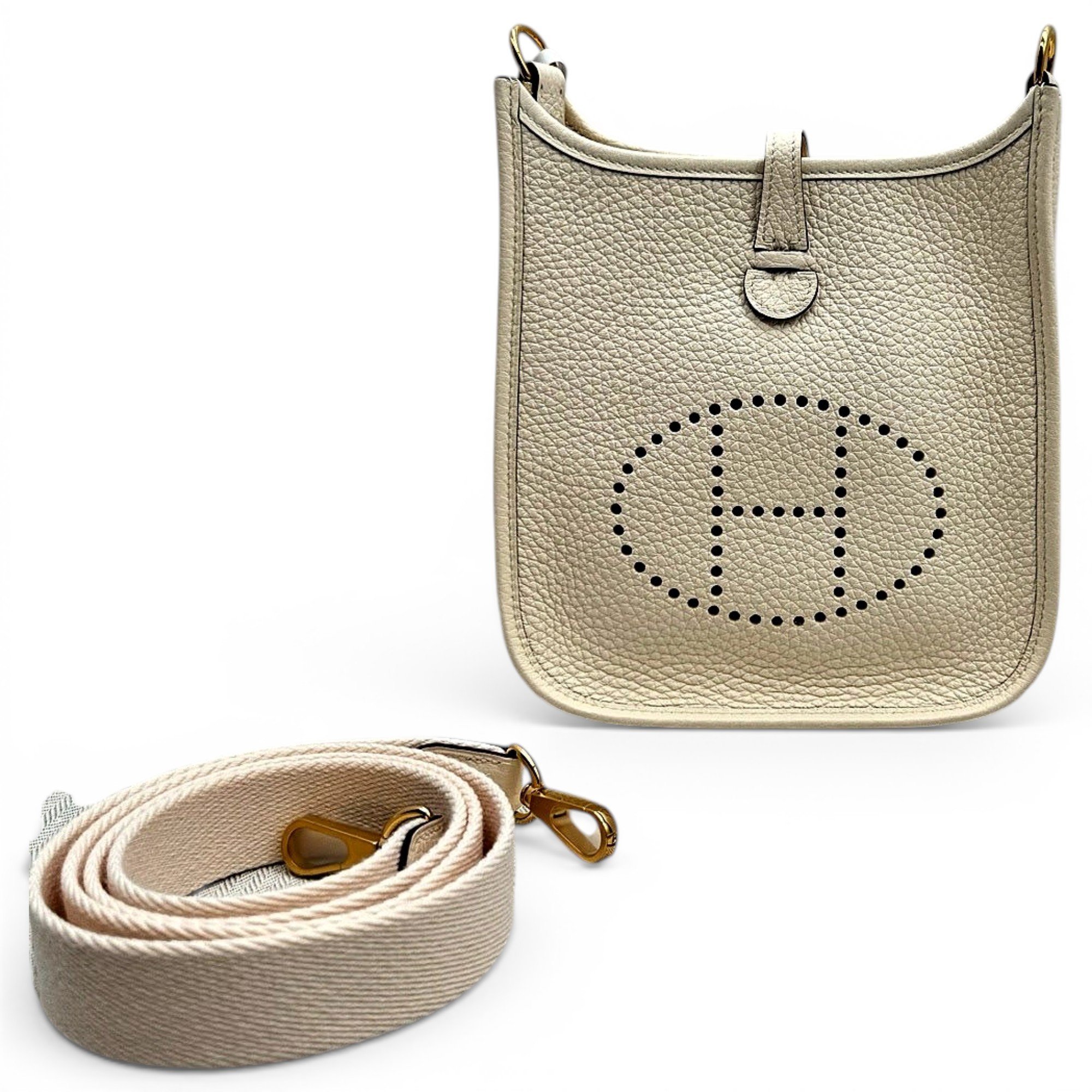 Mini Evelyne leather crossbody bag