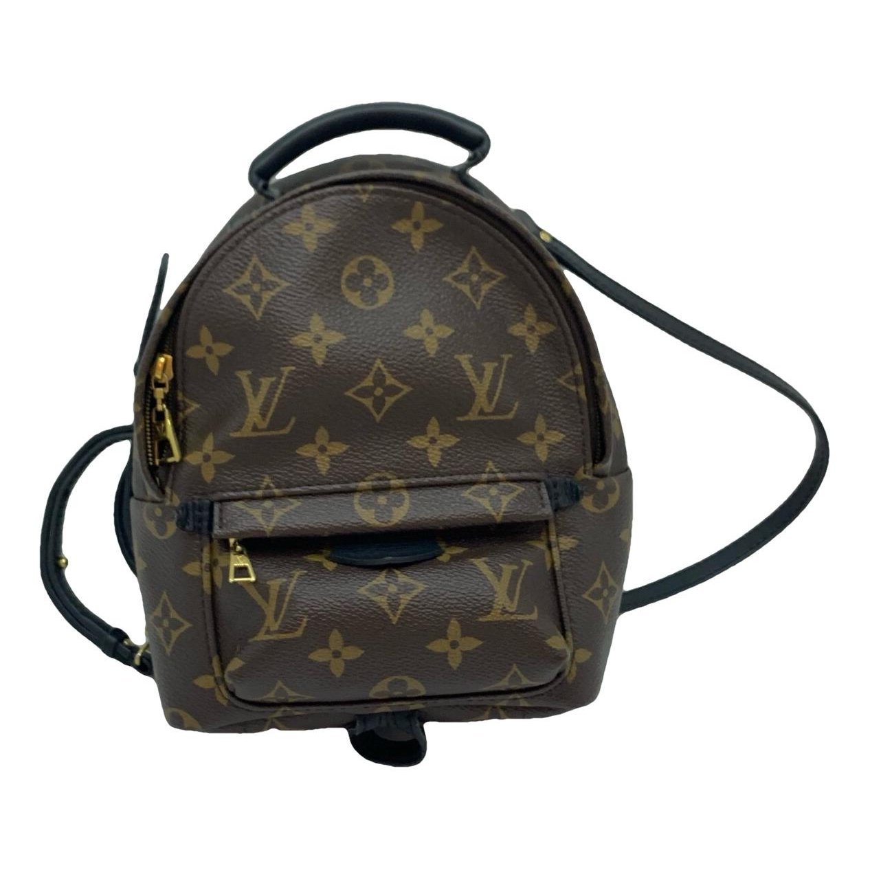 Palm Springs vegan leather backpack