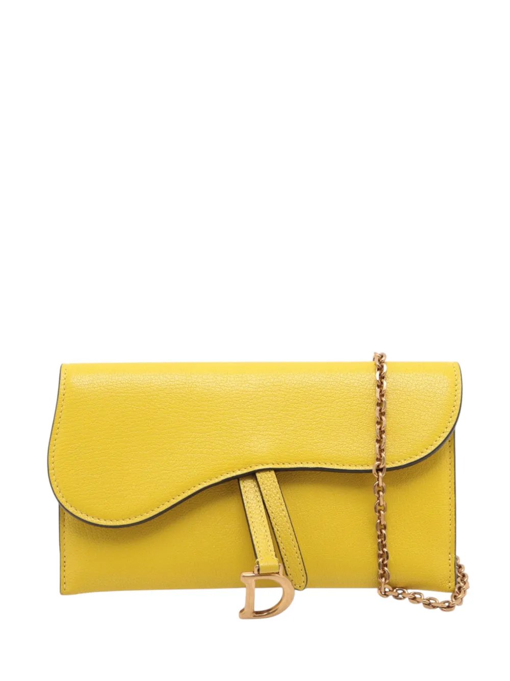 2010-2026 Calfskin Saddle Wallet On Chain crossbody bag