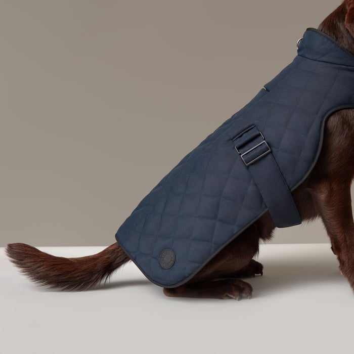 Navy Dog Coat, M and L
