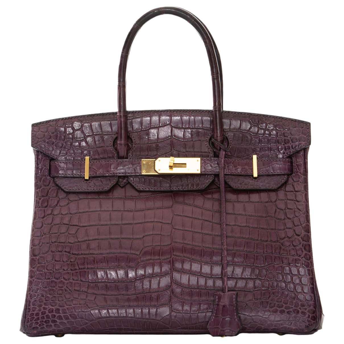 Birkin 30 exotic leathers handbag