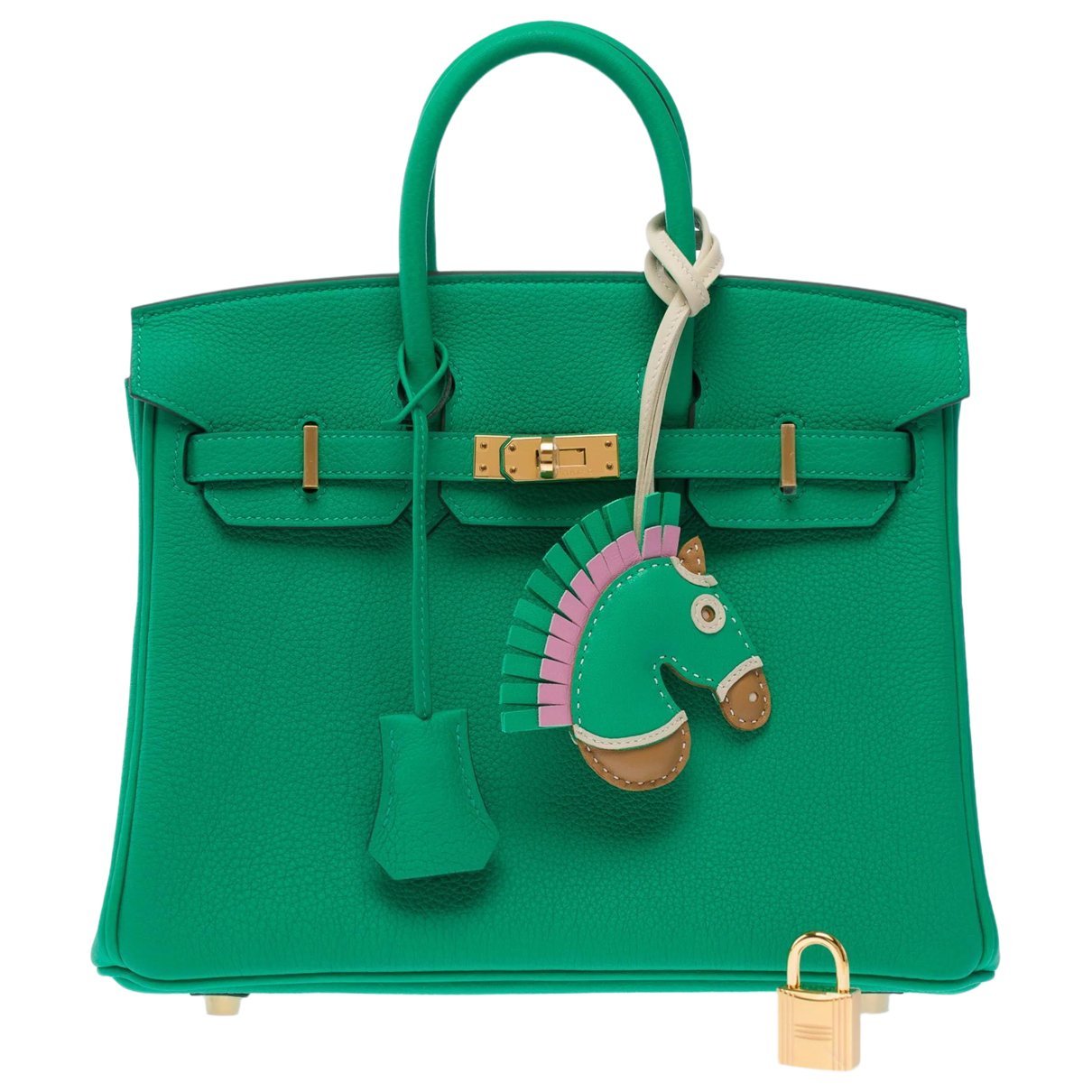 Hermes Birkin 25 Handbag Togo Leather 2024