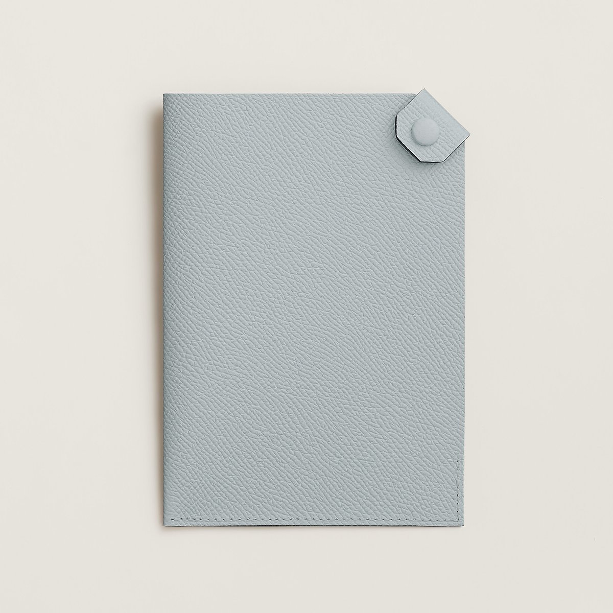 Bleu Glacier Tarmac Passport Holder