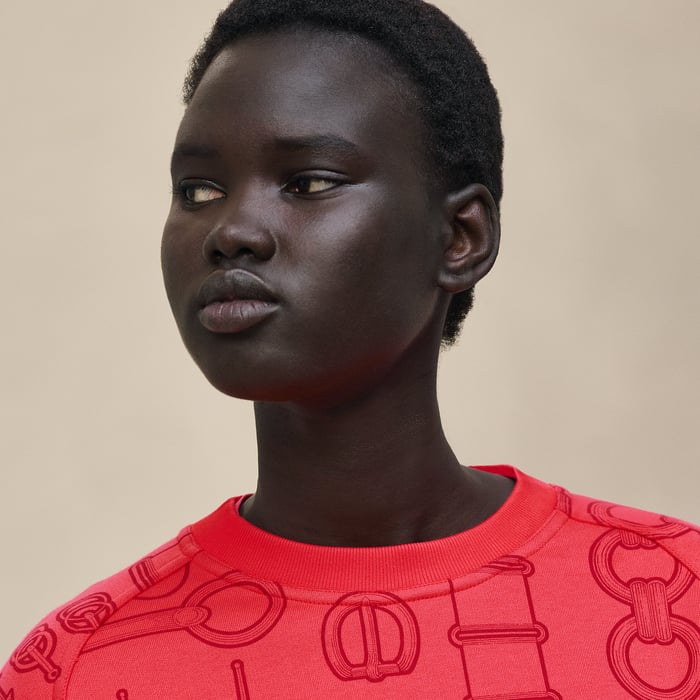 Rose Pivoine "Cahier Du Colporteur" Sweatshirt