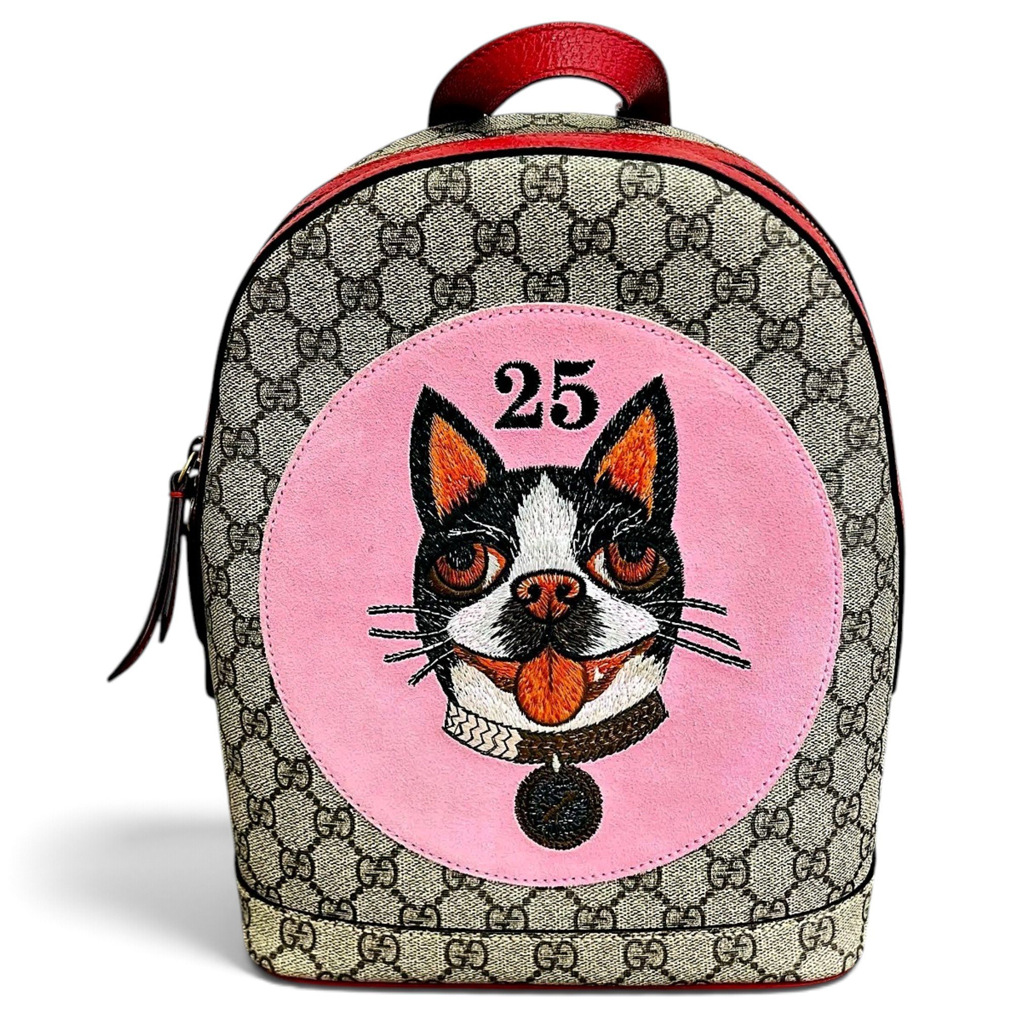 Vinyl backpack