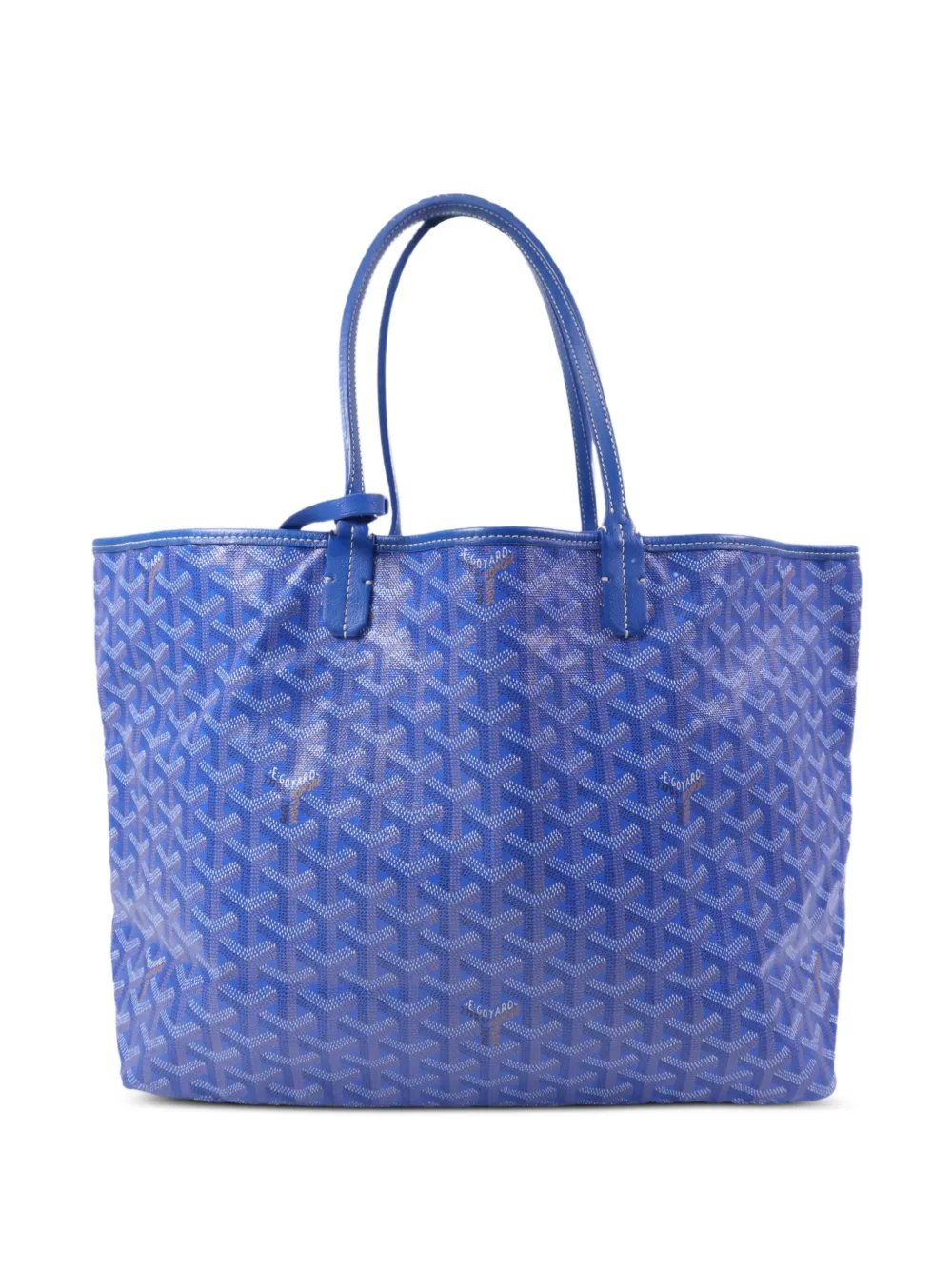 Saint Louis PM tote bag