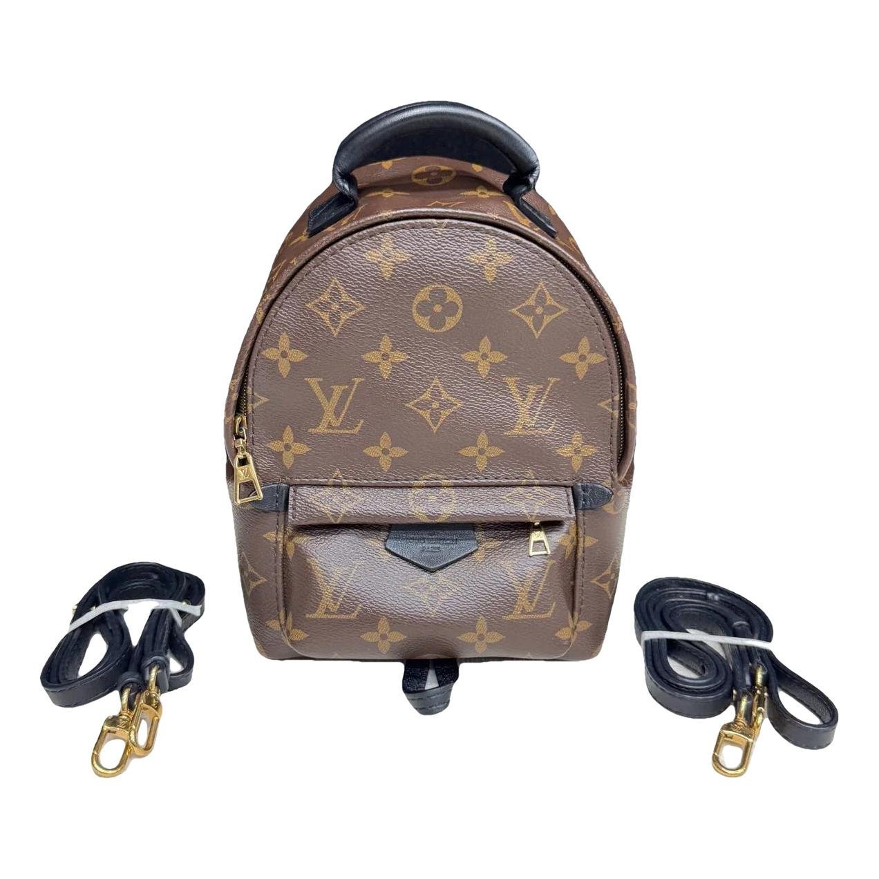 Palm Springs backpack