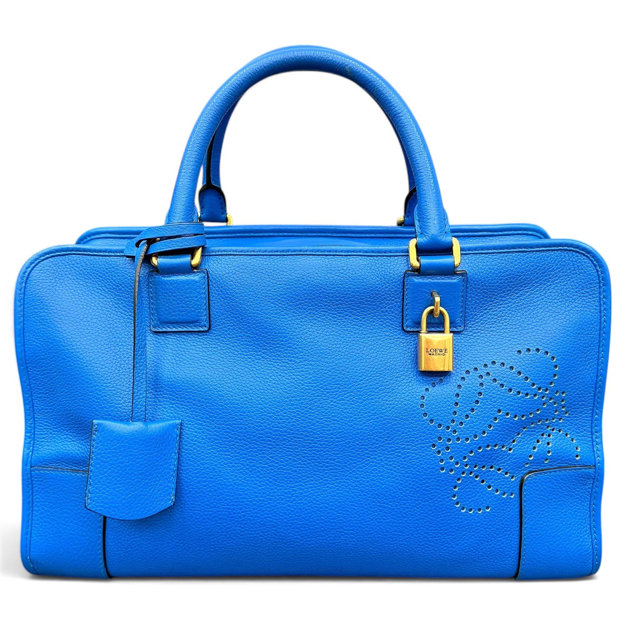 Amazona leather handbag