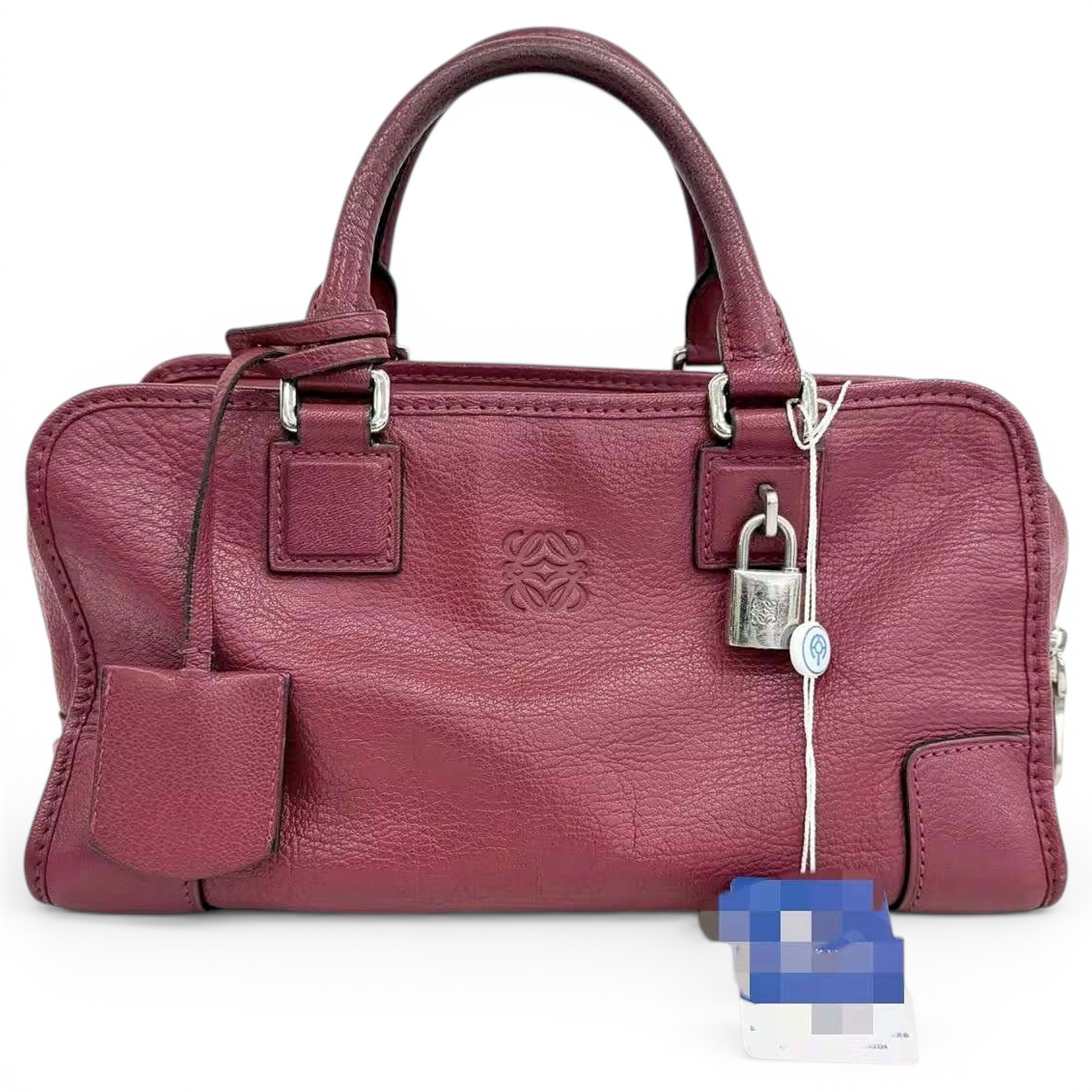 Amazona leather handbag