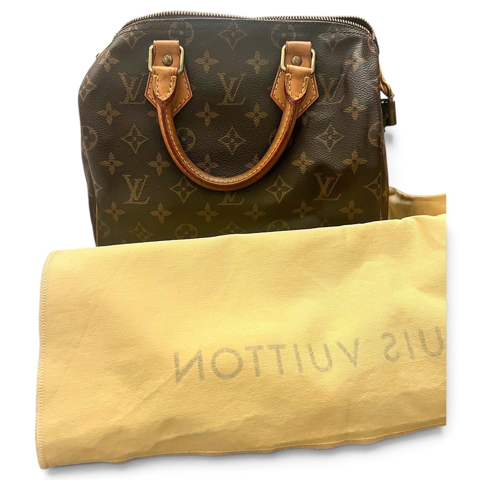 Louis Vuitton Speedy leather handbag