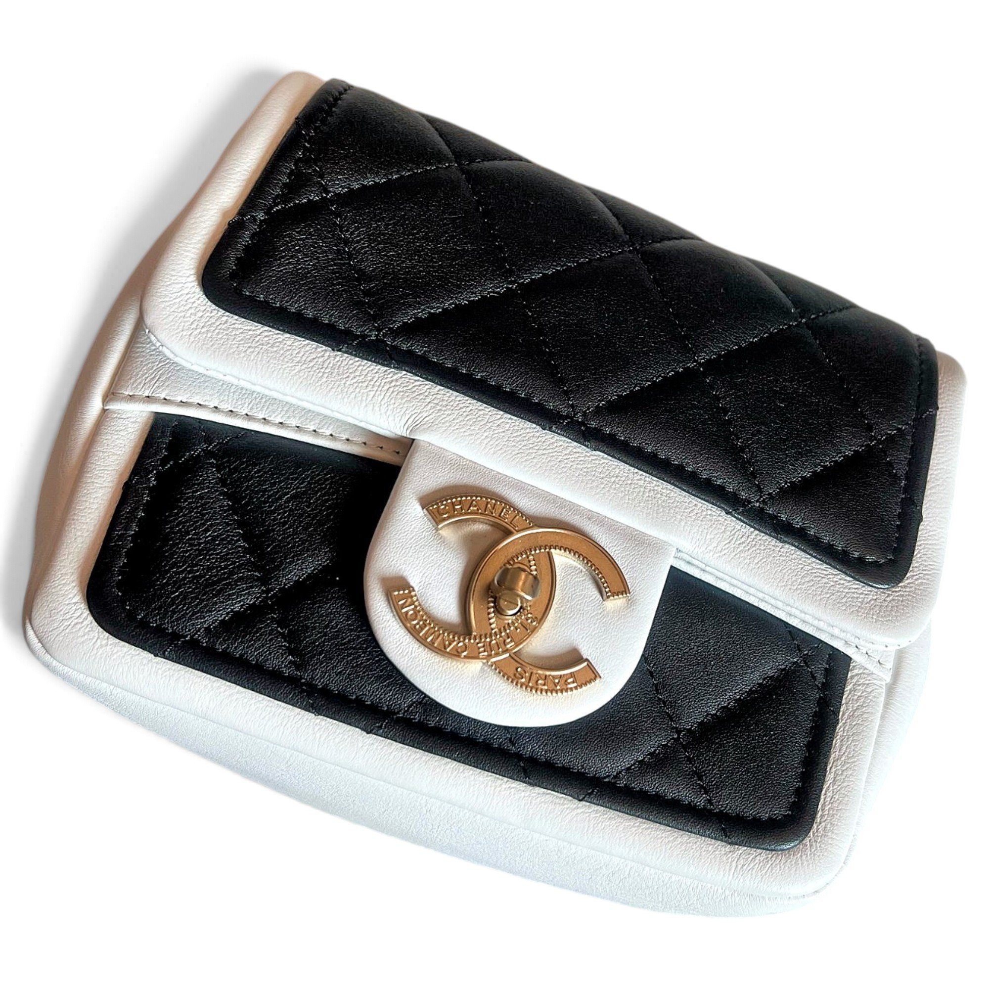 Timeless/Classique leather mini bag