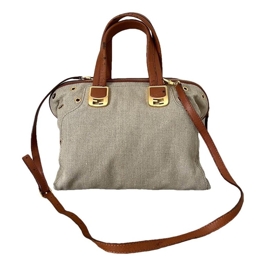 Chameleon cloth crossbody bag