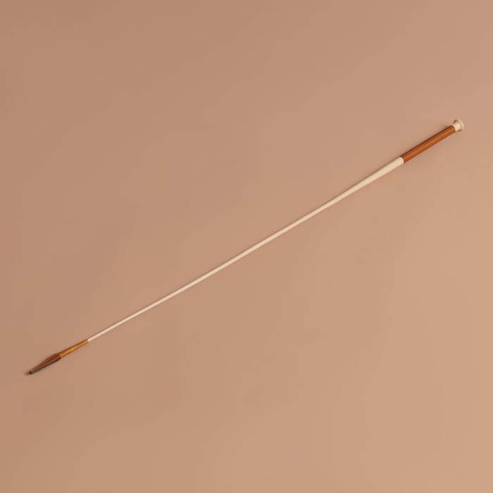 Gold Dressage Stick
