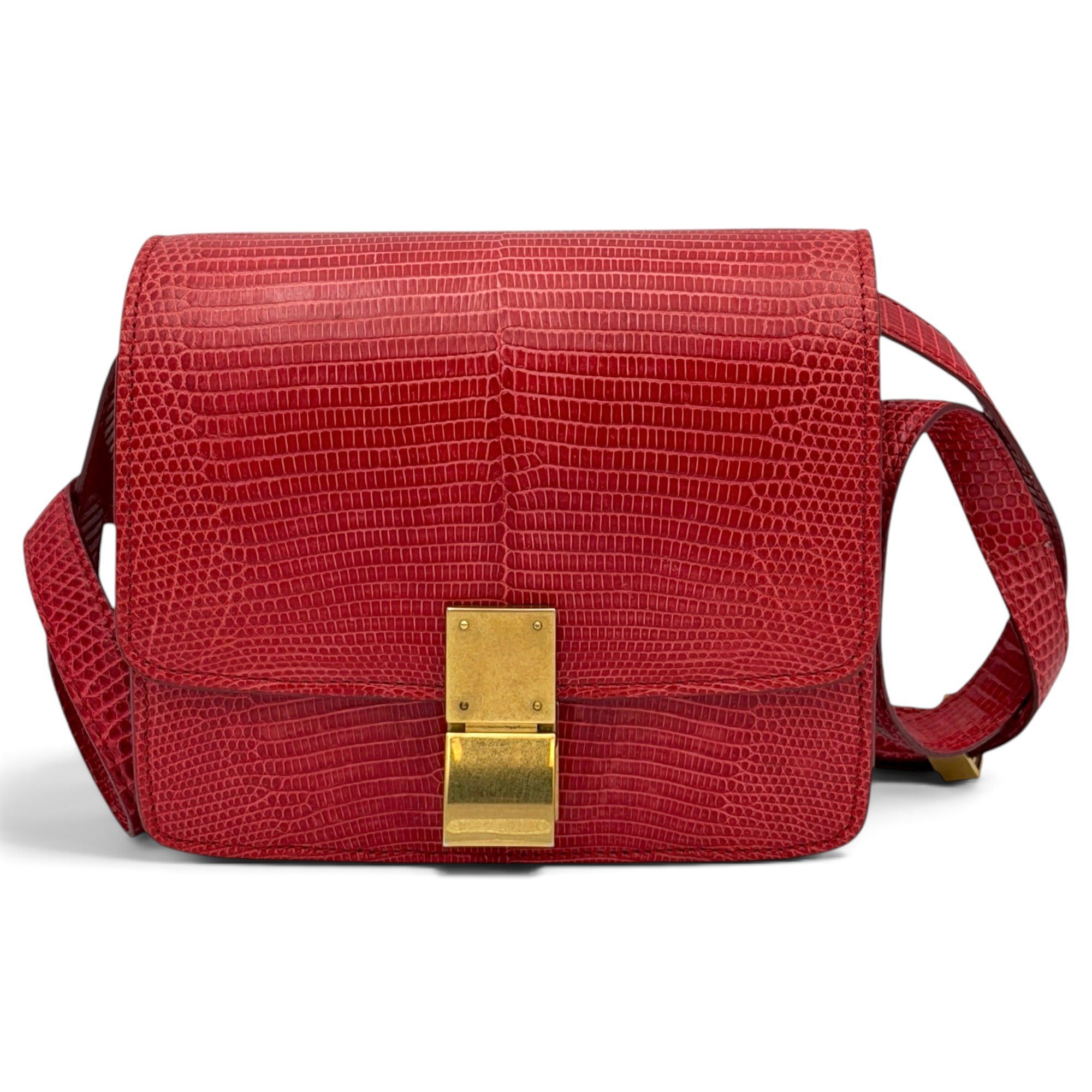Lizard handbag