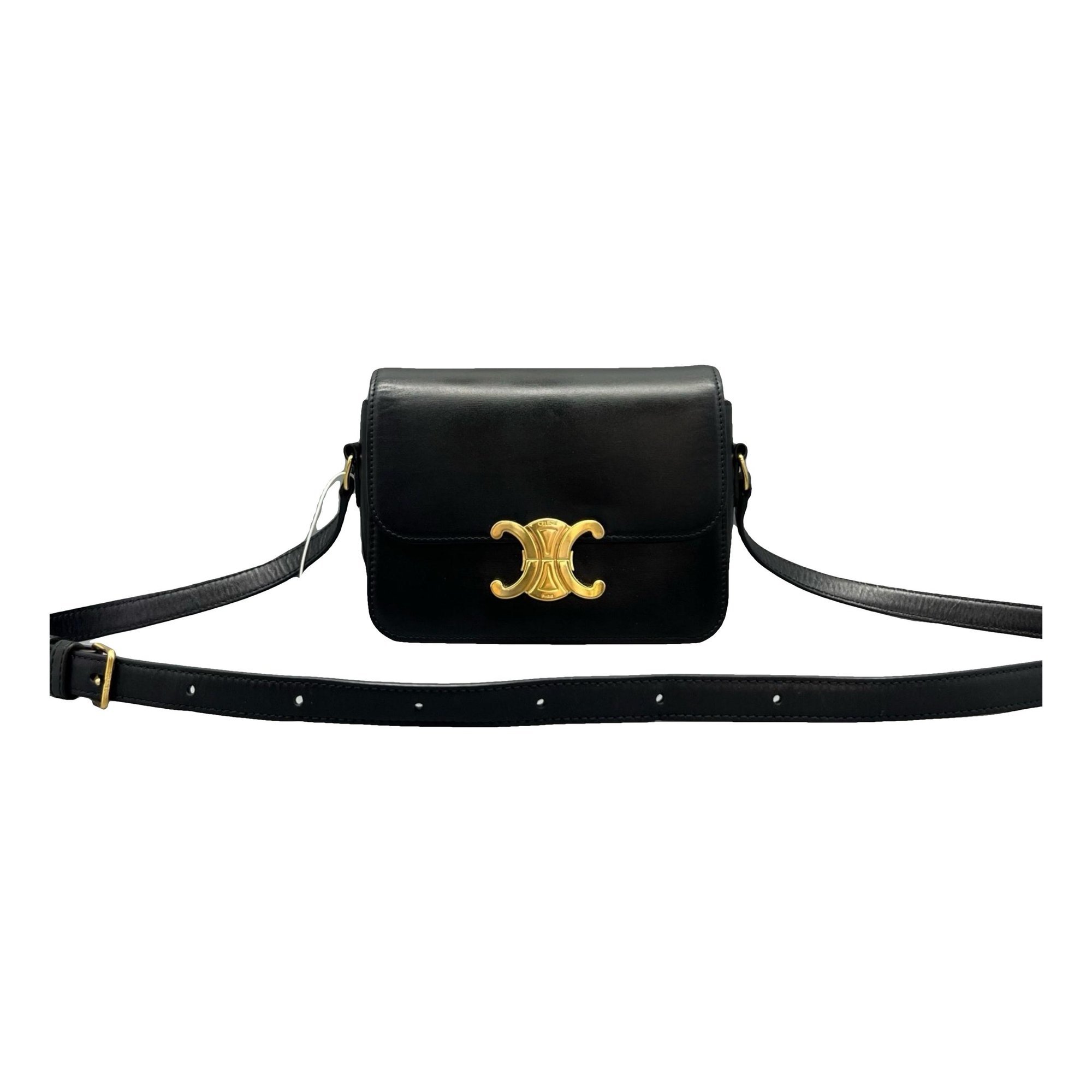 Triomphe leather bag