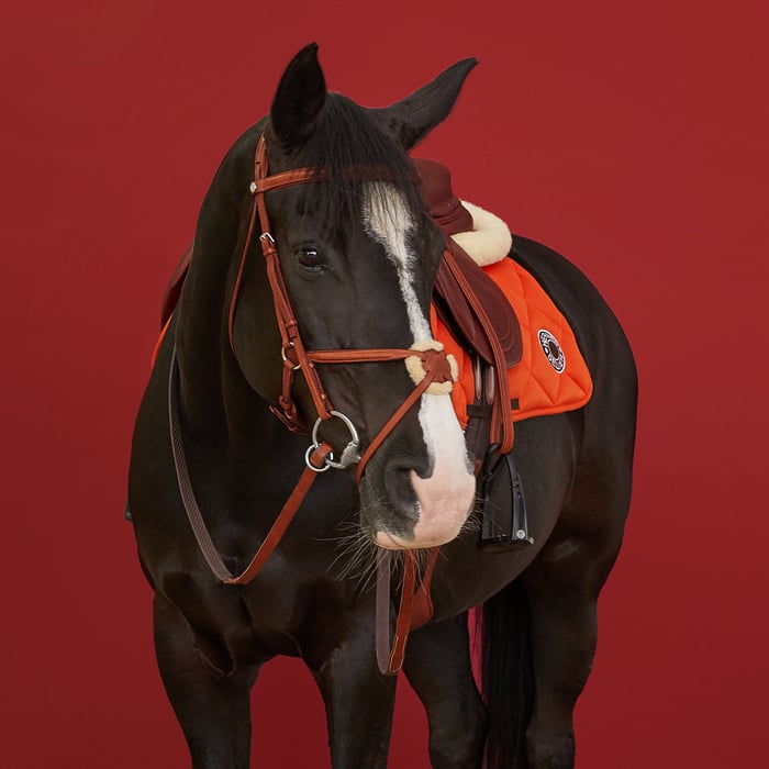 Irish Ergonomic Figure 8 Jumper Bridle