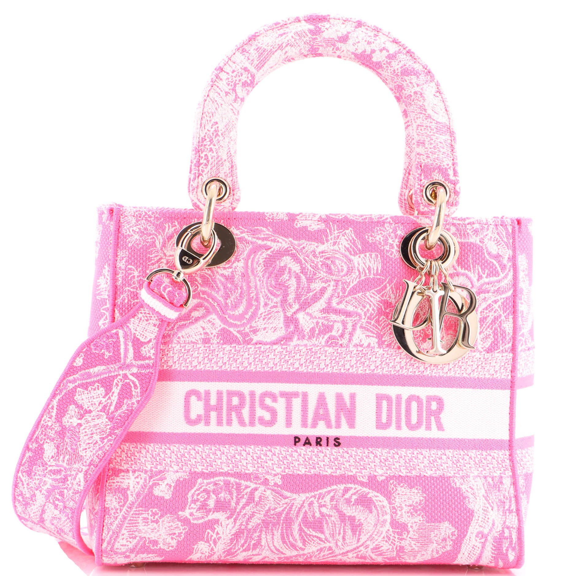 Dior Toile de Jouy Lady D-Lite Bag Embroidered Canvas