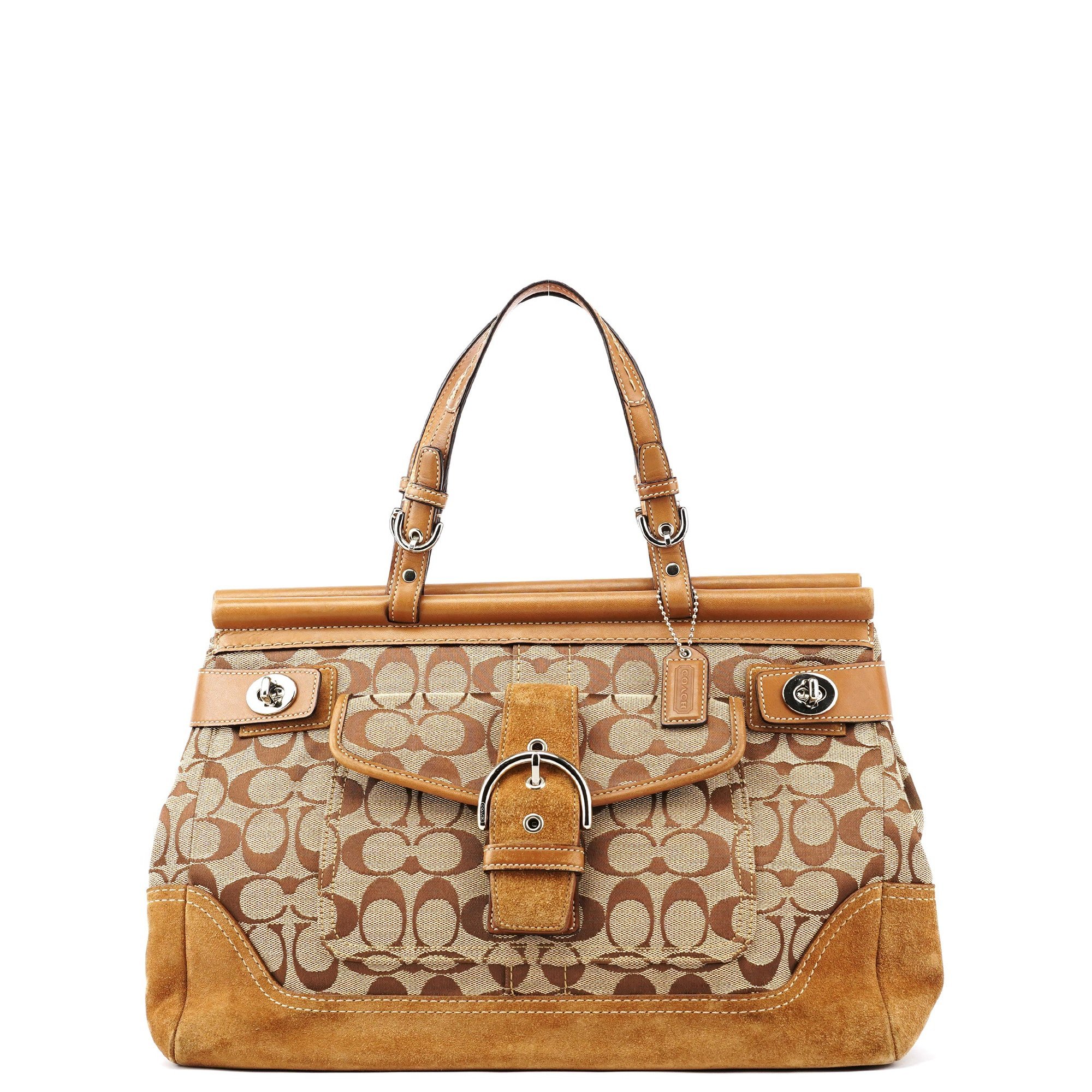Tabby tote