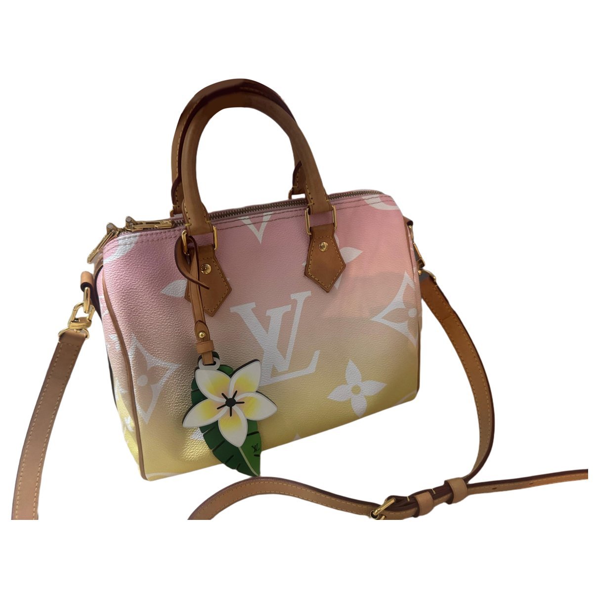 Speedy leather handbag