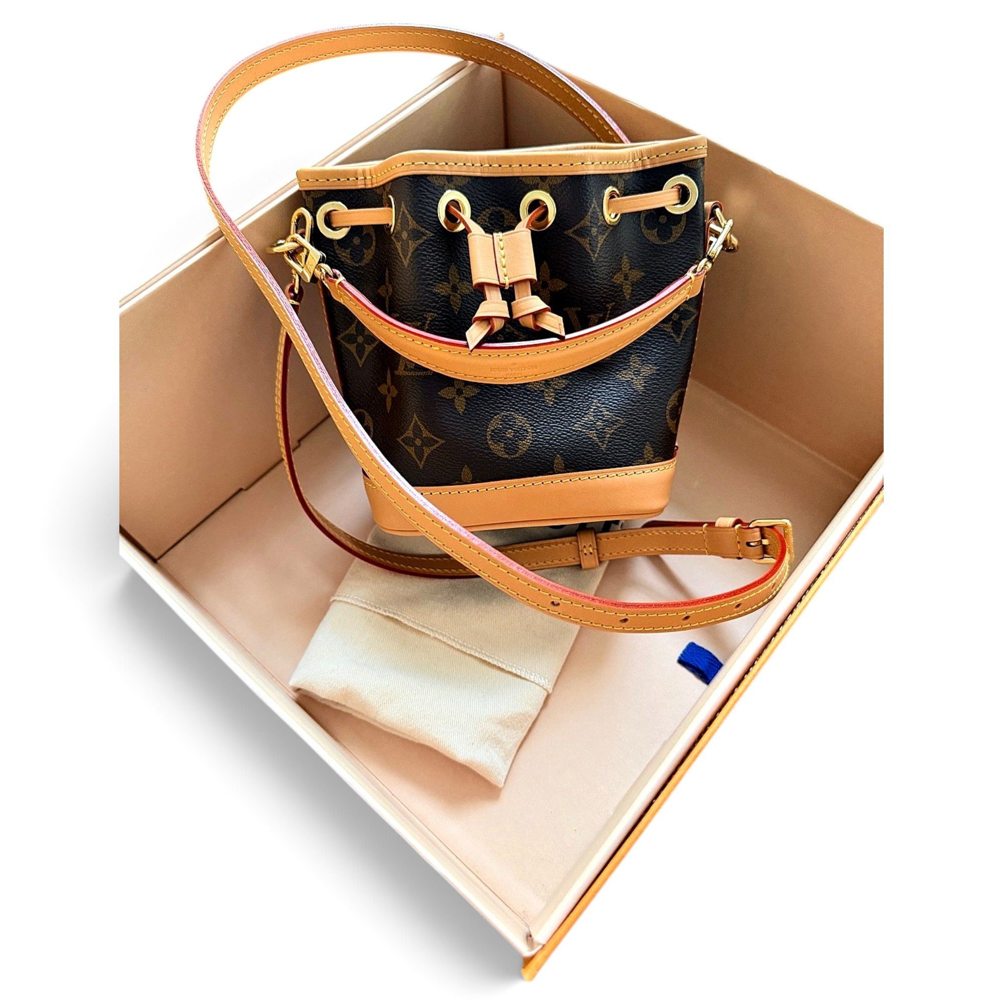 Nano Noé leather bag