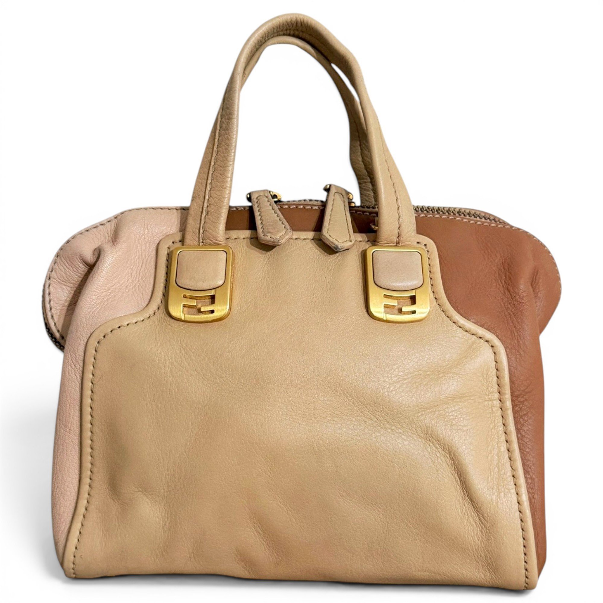 Chameleon leather handbag