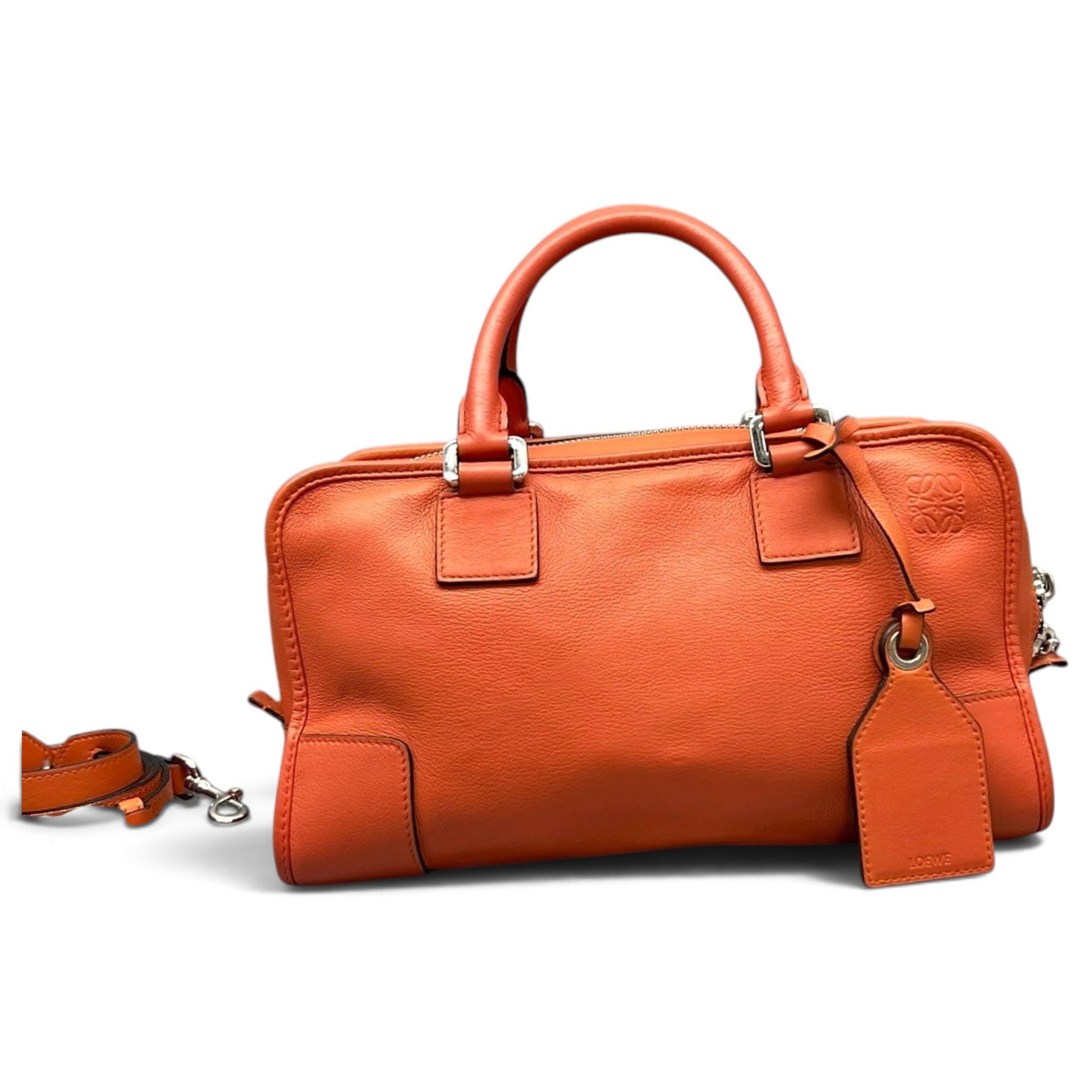 Amazona leather handbag