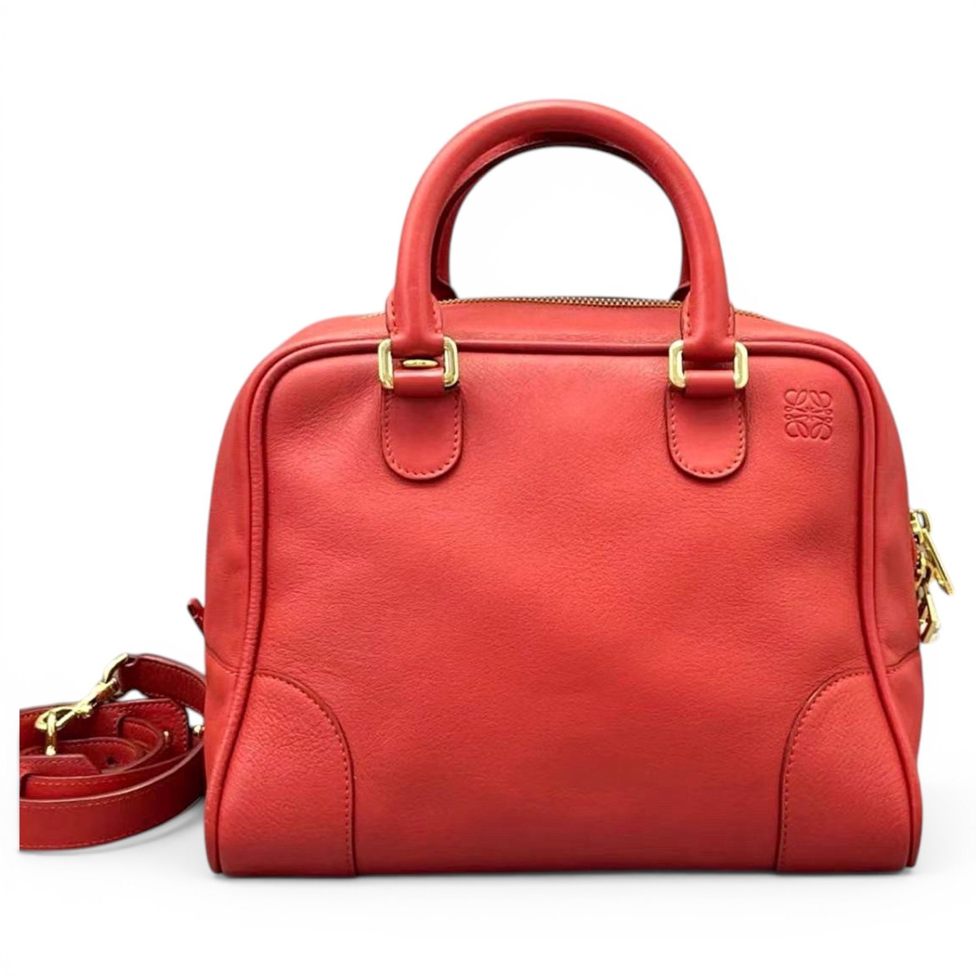 Amazona 75 leather handbag