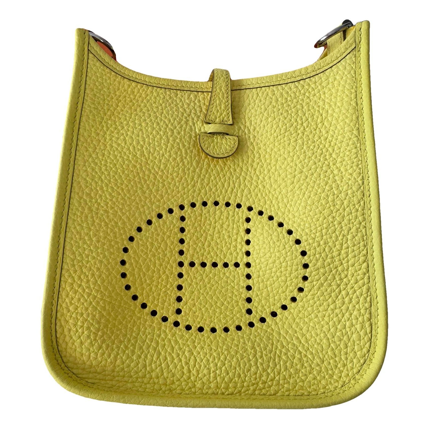 Mini Evelyne leather mini bag