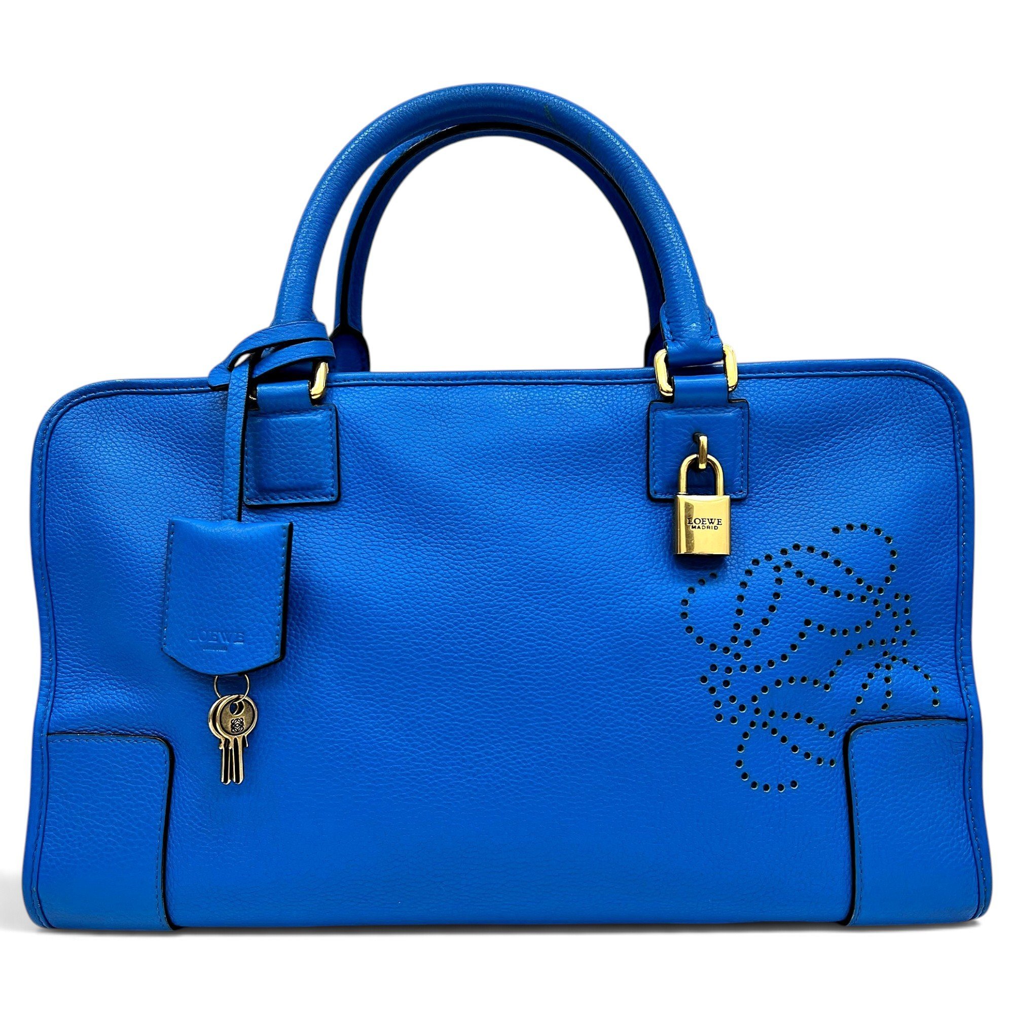 Amazona leather handbag