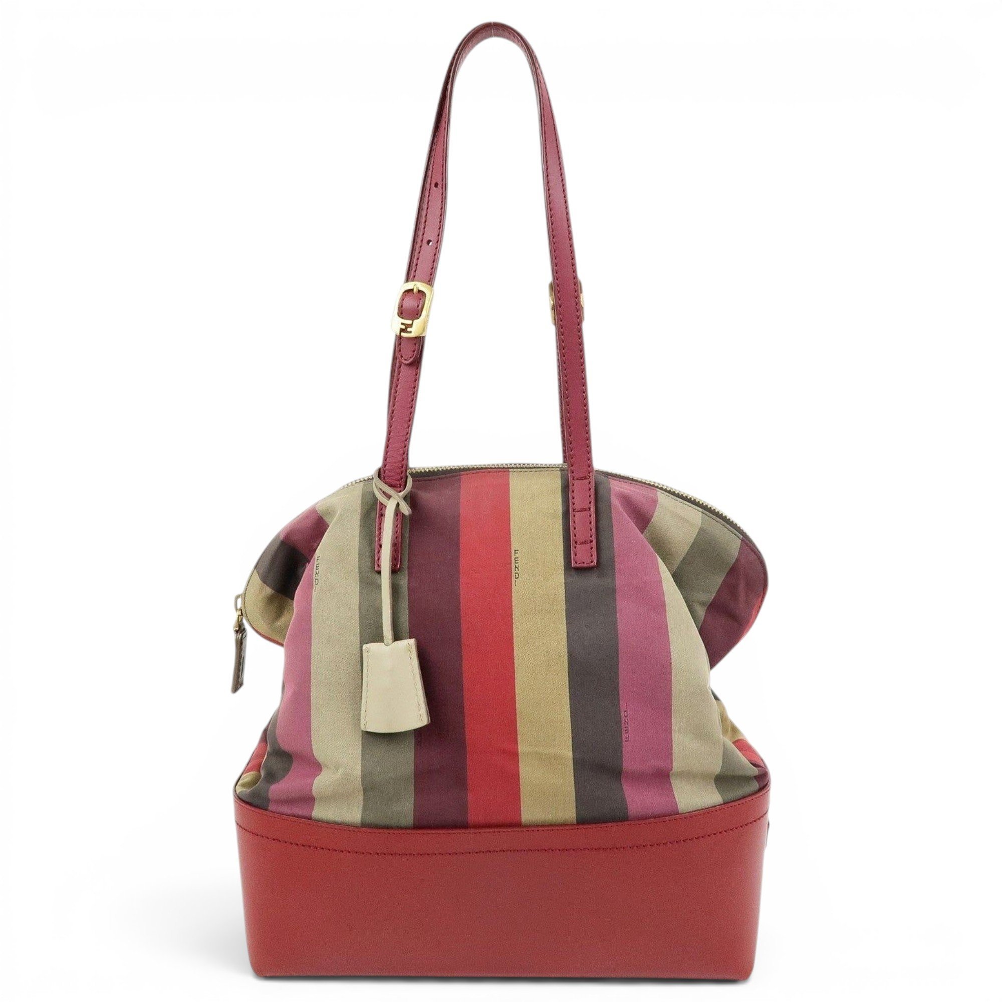 Chameleon cloth handbag