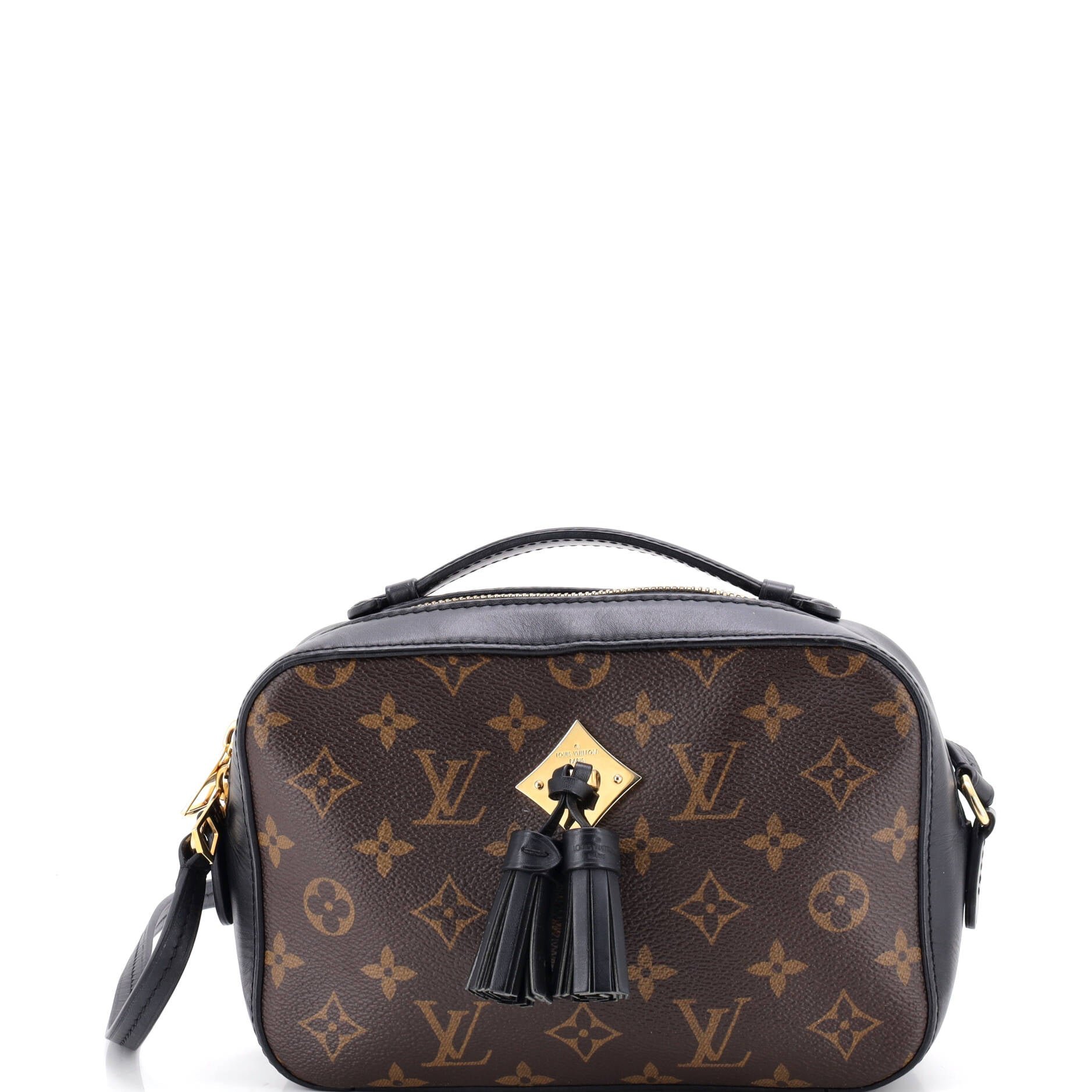 Saintonge Handbag Monogram Canvas with Leather