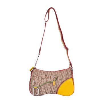 Dior Canvas Rasta Trotter Double Saddle Bag
