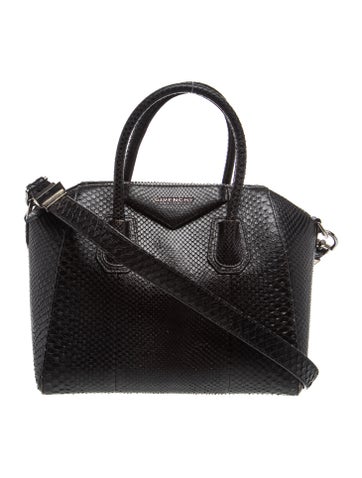 Python Antigona Small